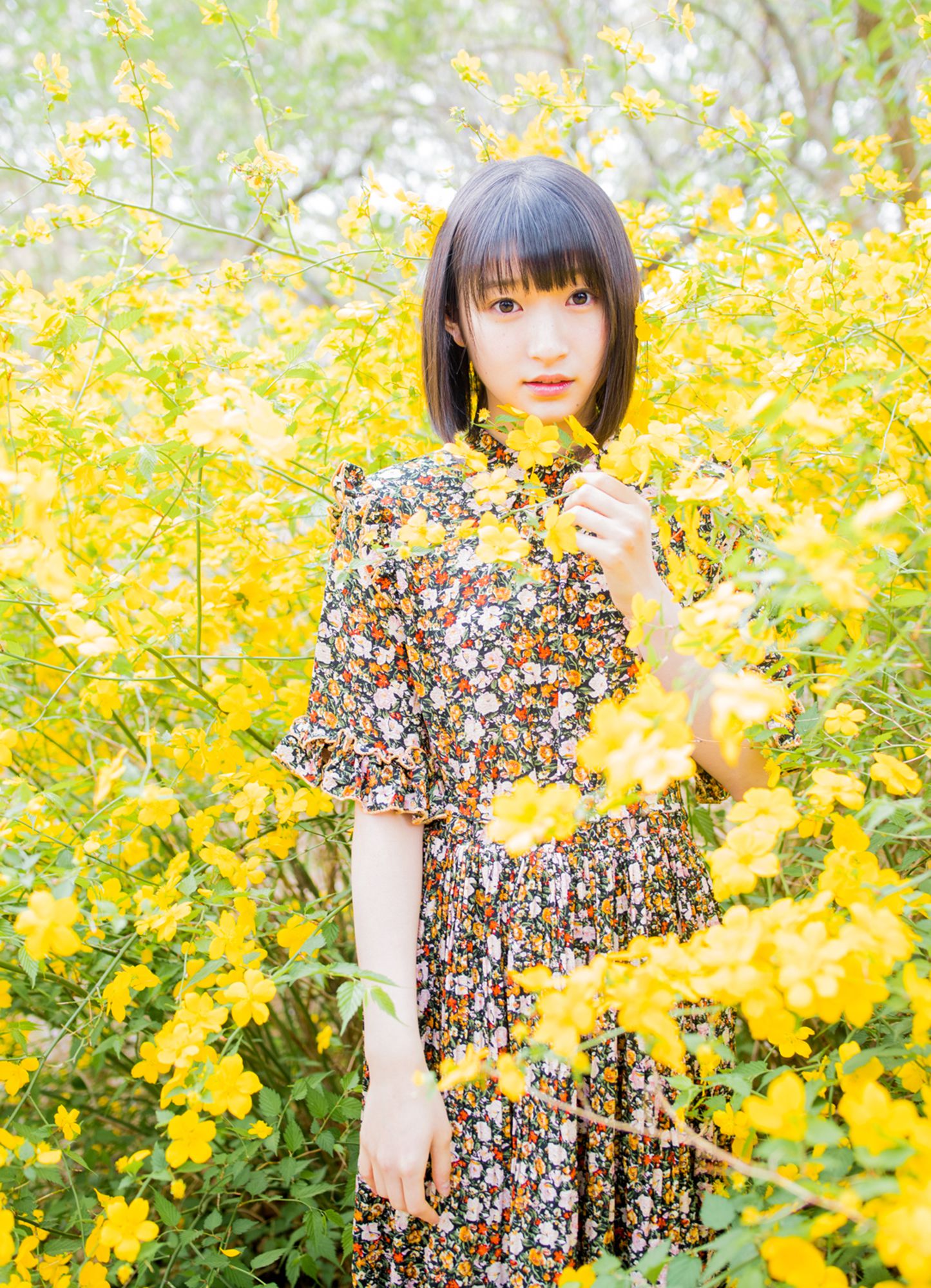 [Hello! Project Digital Books] No.193 Karin Miyamoto 宮本佳林/(100P)