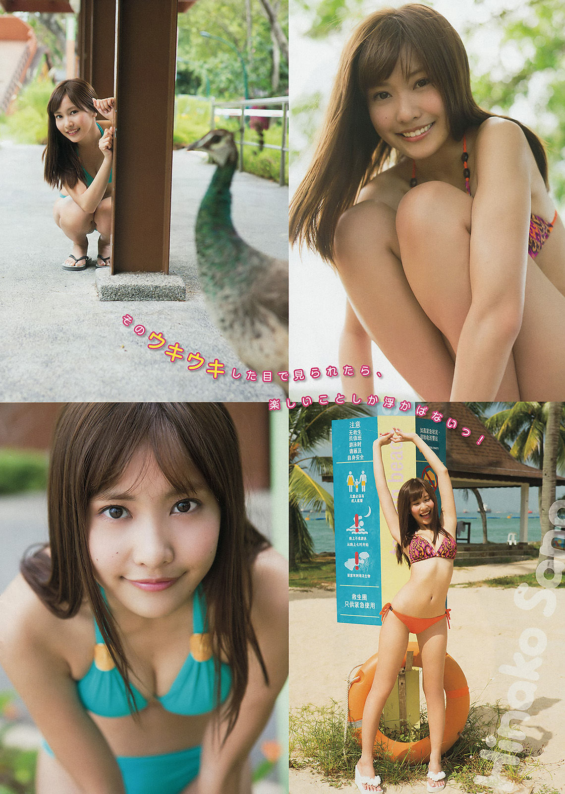 [Young Magazine] 2015年No.14 マギー 佐野ひなこ/(11P)