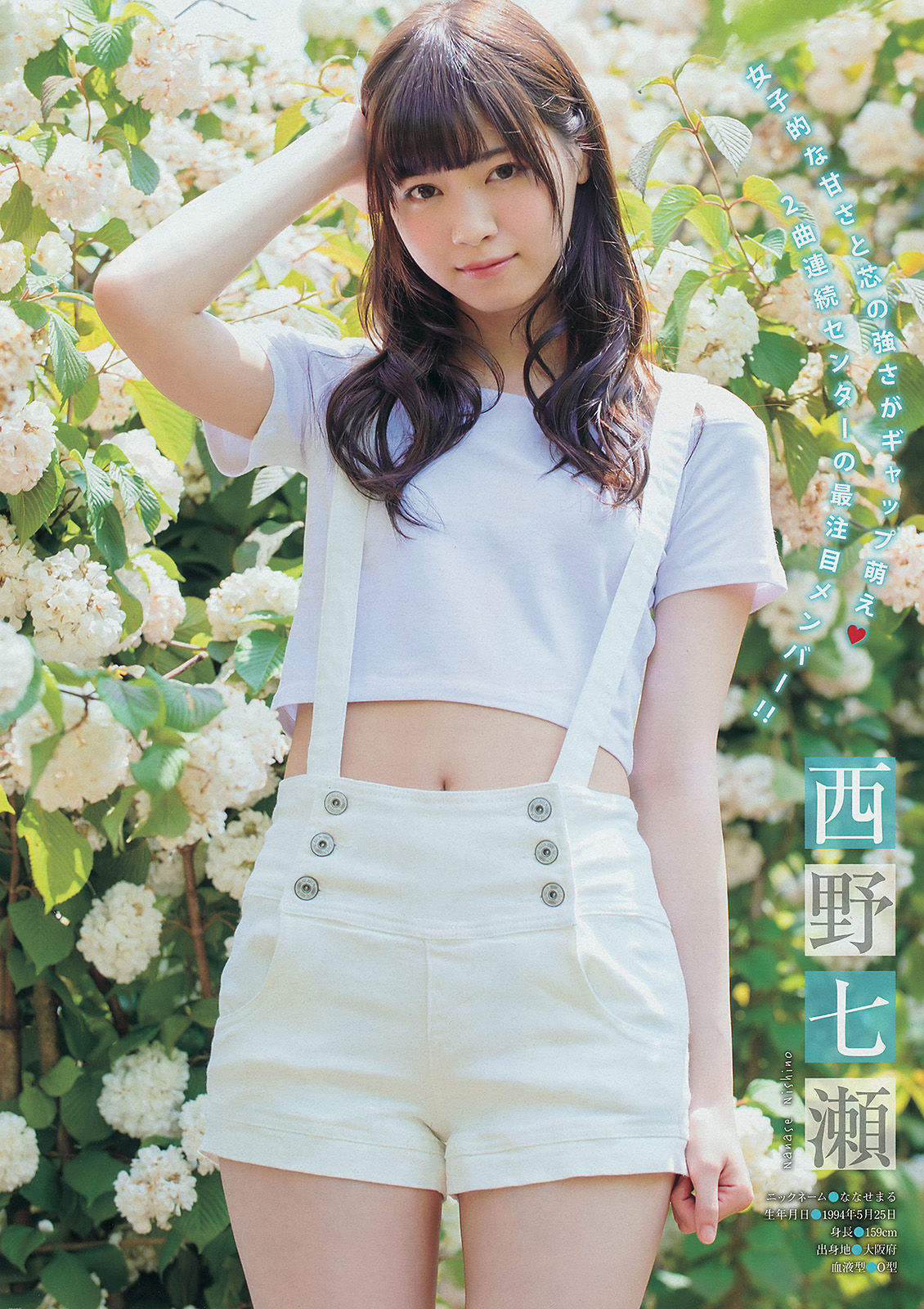 [Young Magazine] 2014年No.29 壇蜜 西野七瀬 橋本奈々未/(14P)