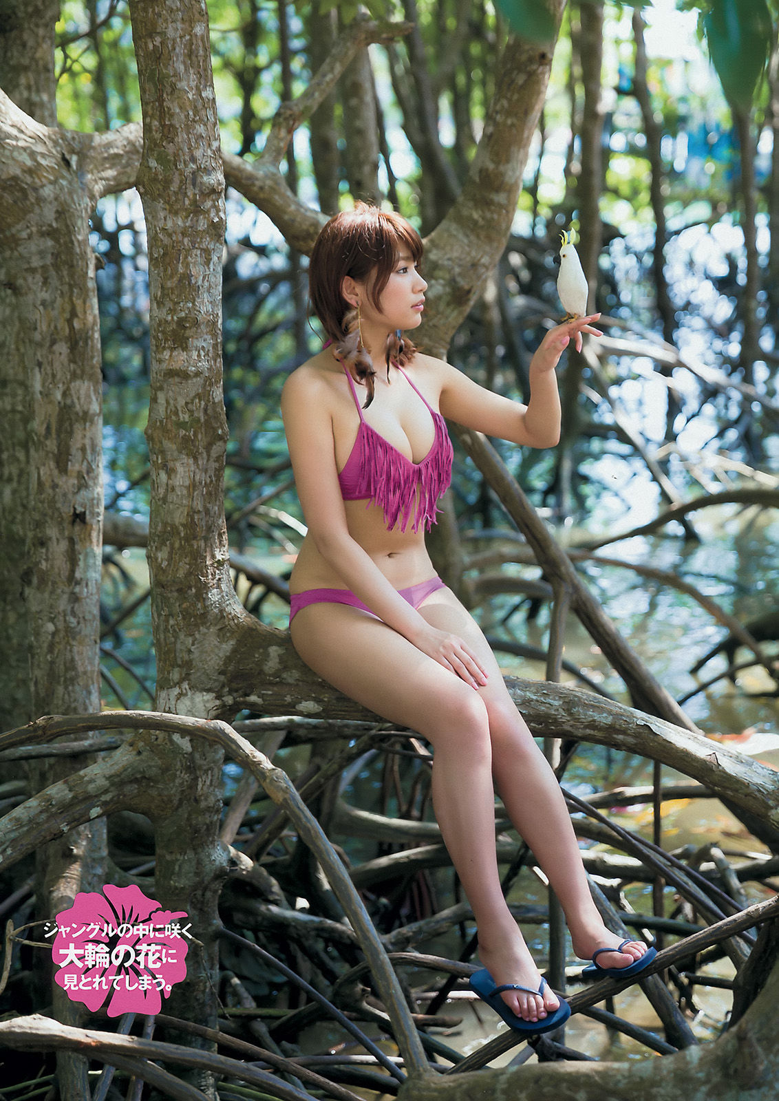 [Young Magazine] 2015年No.26 久松郁実 夏目花実/(9P)