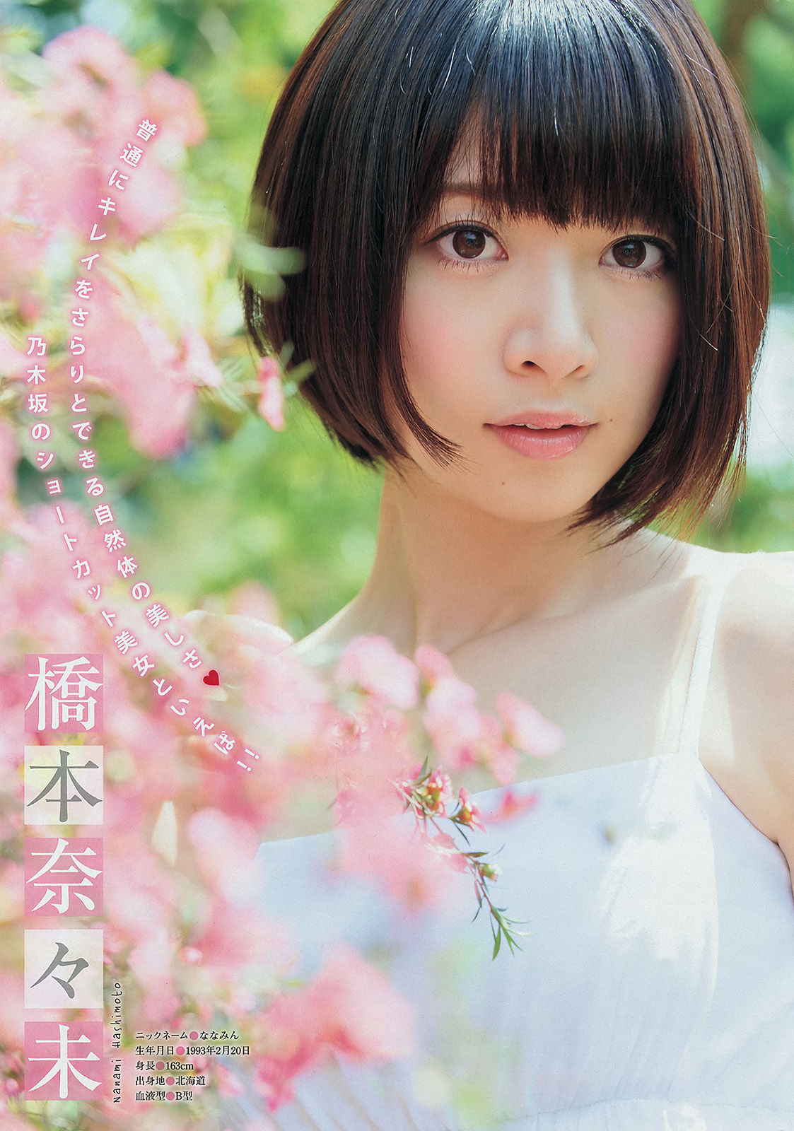 [Young Magazine] 2014年No.29 壇蜜 西野七瀬 橋本奈々未/(14P)