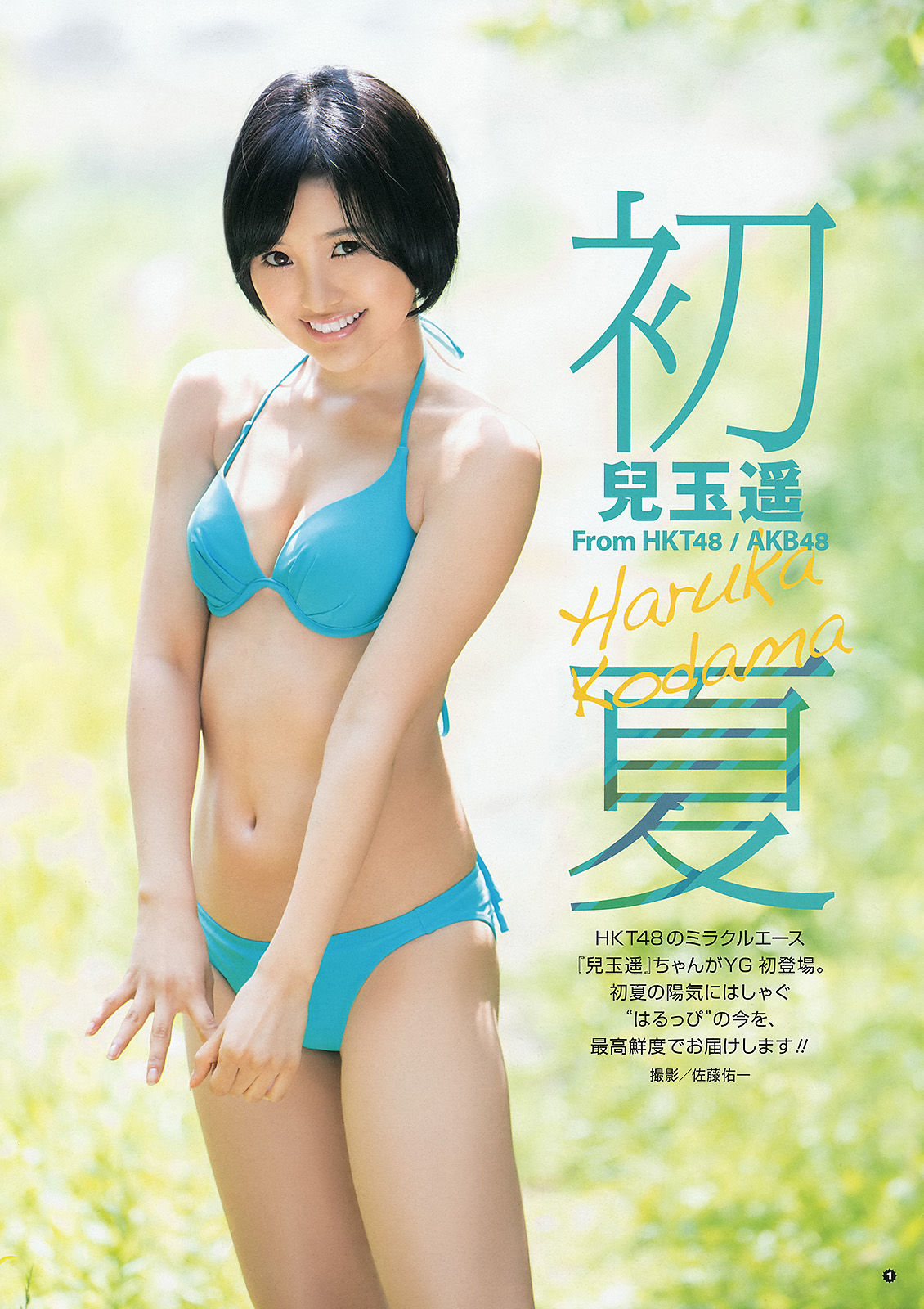 [Young Gangan] 2015年No.12 兒玉遙 武田紗季/(15P)