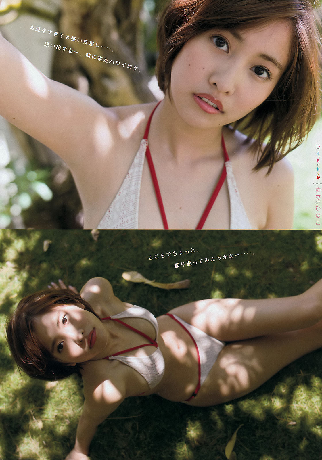 [Young Magazine] 2016年No.29 佐野ひなこ 原野愛弓/(16P)