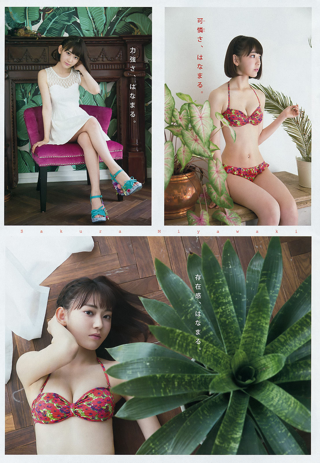 [Young Magazine] 2016年No.41 宮脇咲良 大澤玲美/(13P)