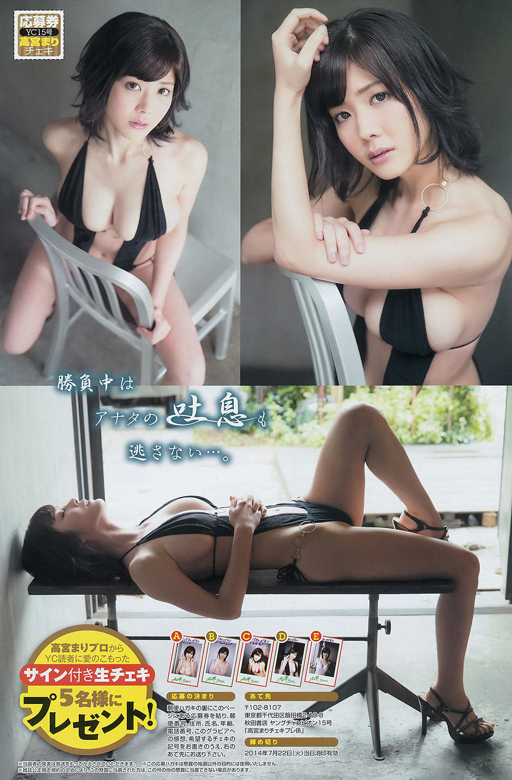 [Young Champion] 2014年No.15 柏木由紀 倉持明日香 高城亜樹 高宮まり/(15P)