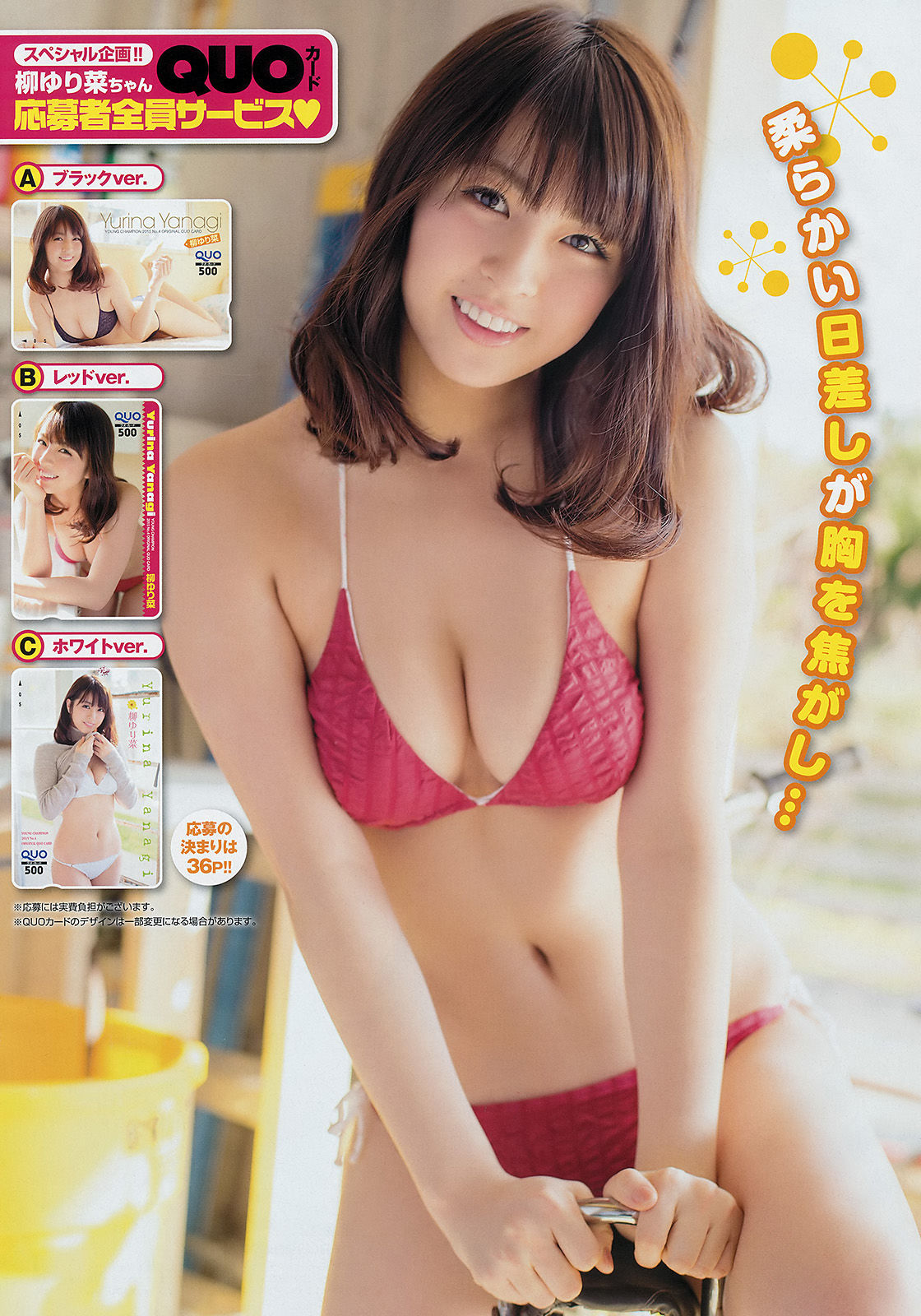 [Young Champion] 2015年No.04 柳ゆり菜 松川佑依子/(14P)