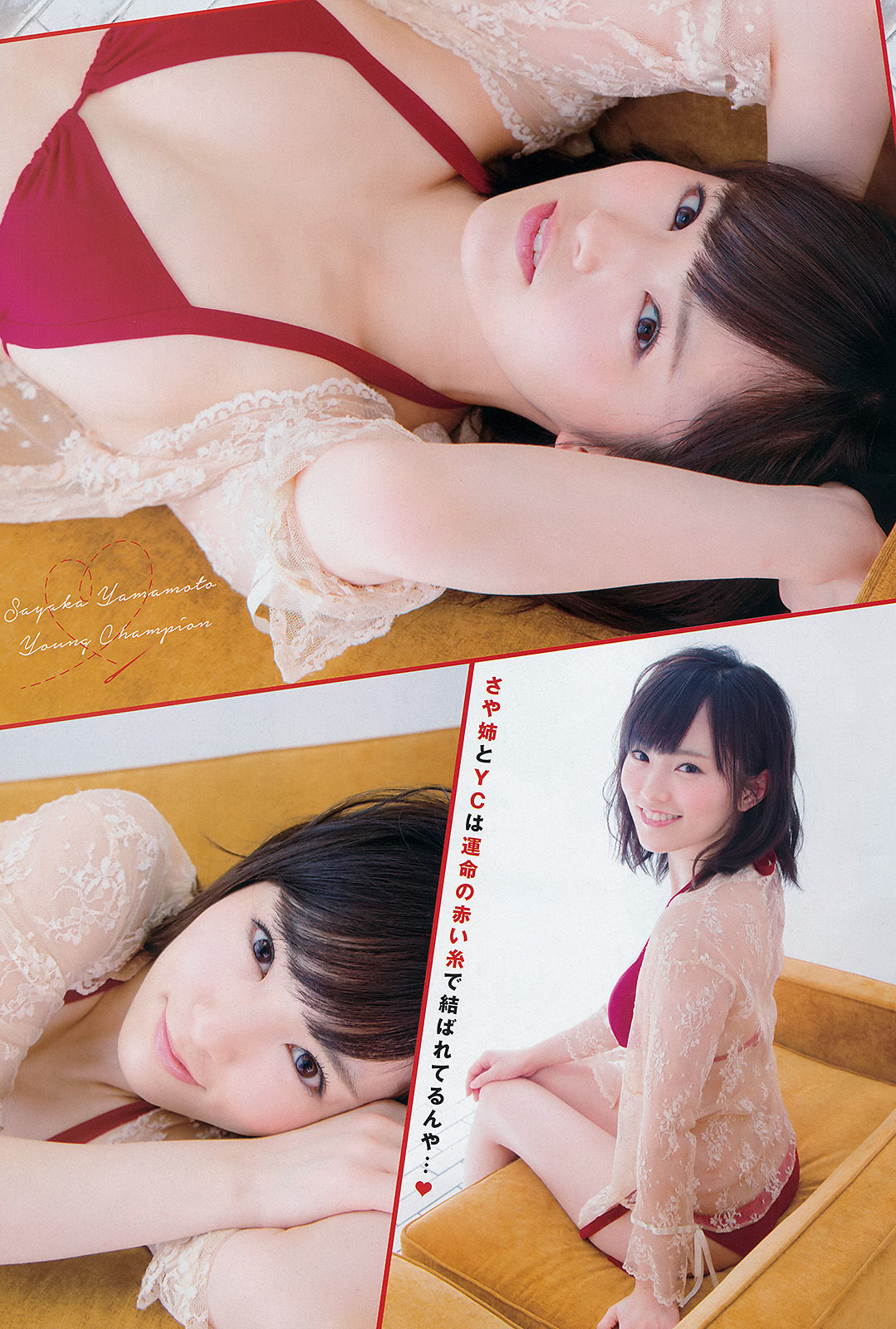 [Young Champion] 2015年No.15 山本彩/(16P)