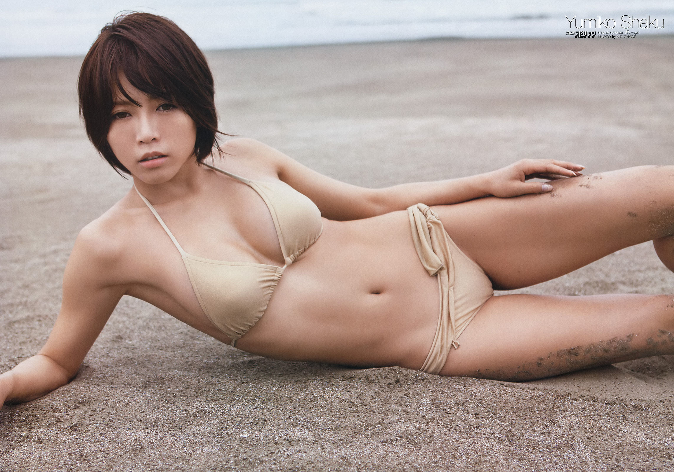 [Weekly Big Comic Spirits] 2013年No.51 釈由美子/(8P)