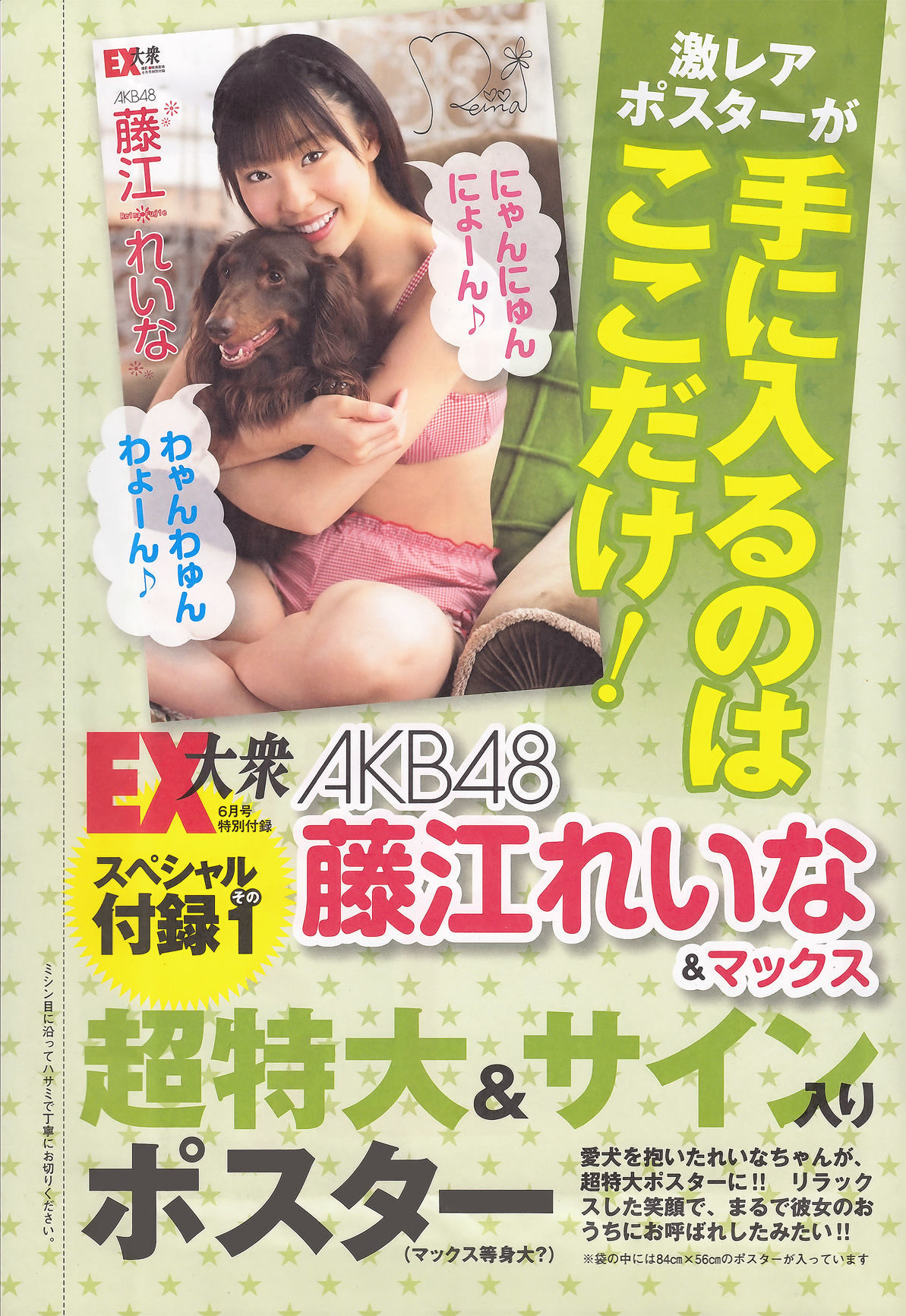 [EX Taishu] 2011年No.06 山本梓 杉原杏璃 藤江れいな 市道真央 とっきー 護あさな/(46P)