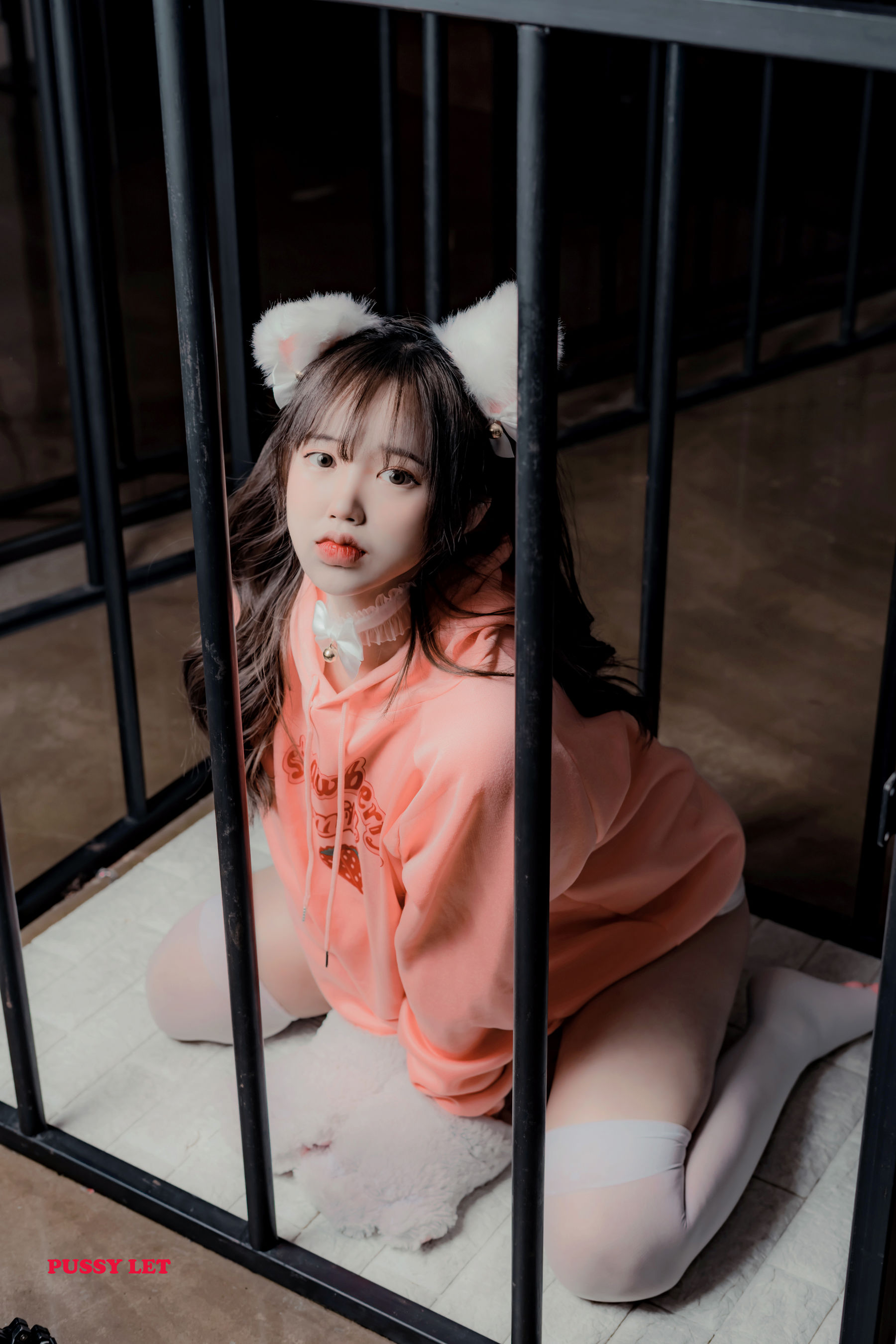 [PUSSY LET]  Vol.06 Cony - Pet/(23P)