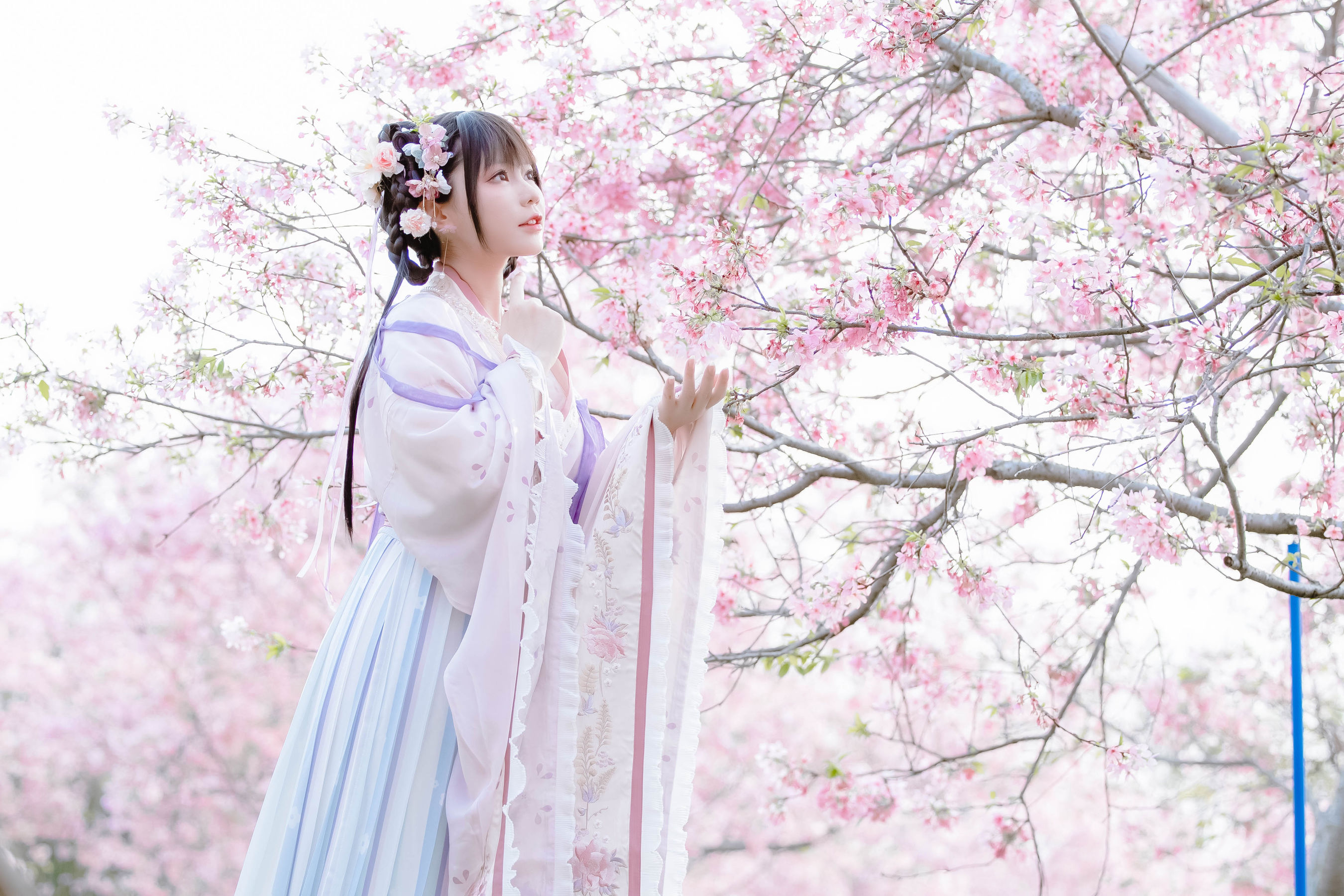 [福利COS] 萌妹子Nyako喵子 - 樱花汉服 花神祈愿/(52P)