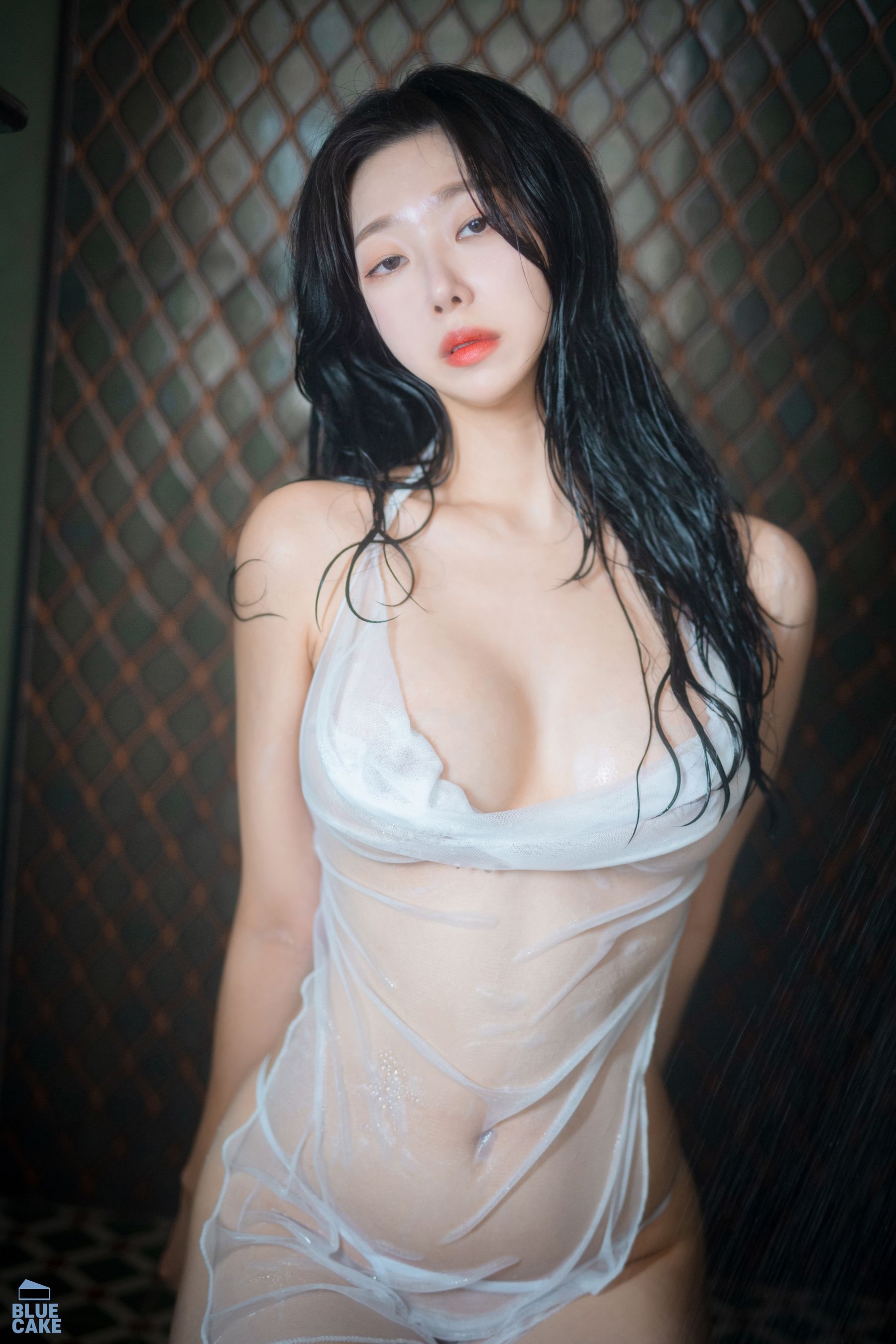 [BLUECAKE]  Shaany - Wet/(228P)