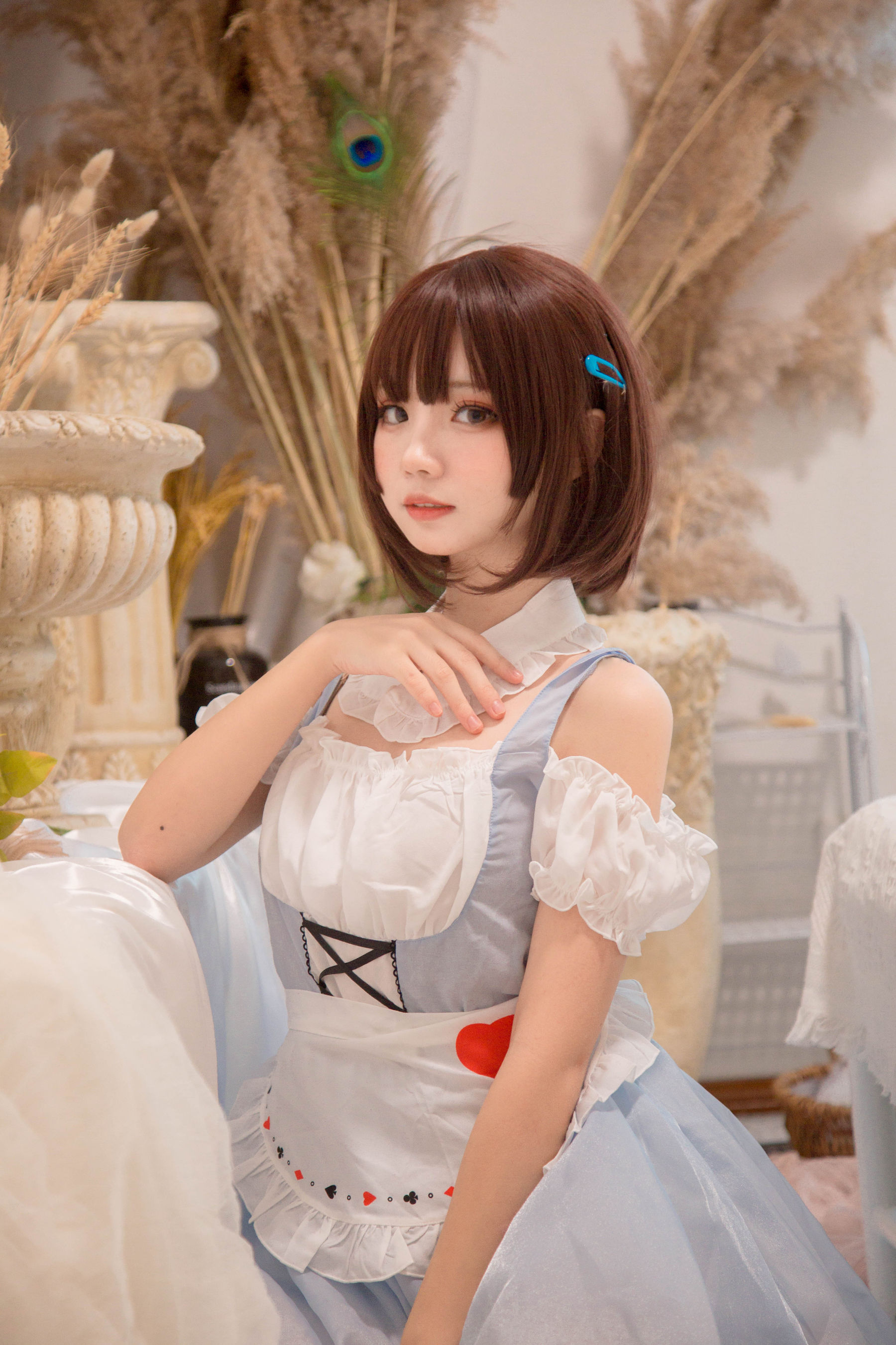 [福利COS] 花柒Hana - 爱丽丝/(9P)