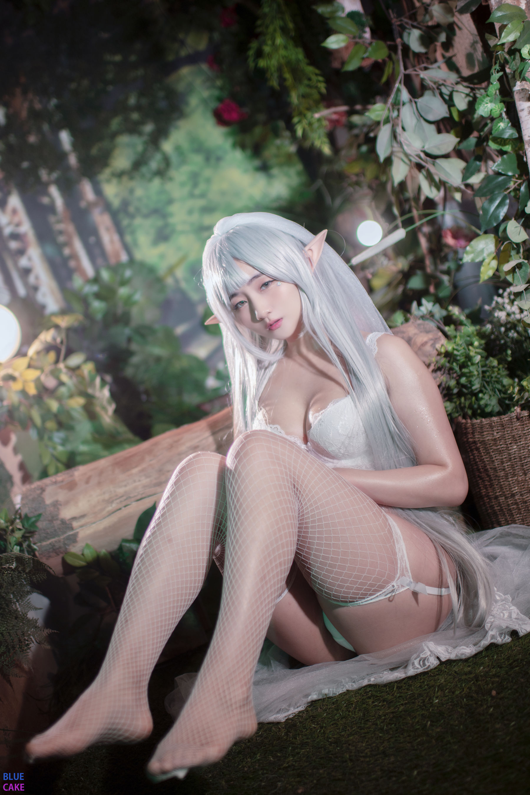 [BLUECAKE]  Jina - Sun Elf & Moon Elf/(114P)