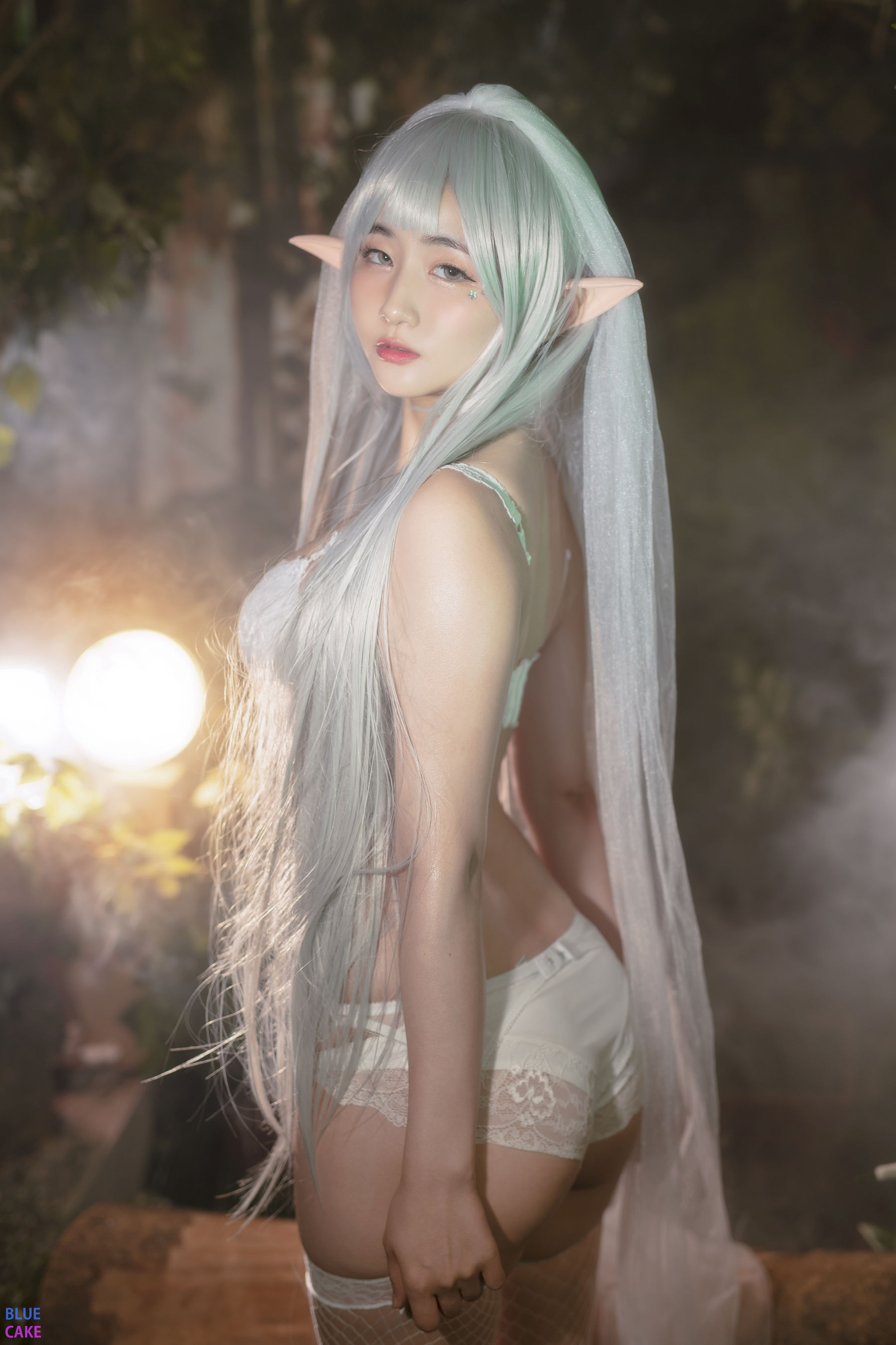 [BLUECAKE]  Jina - Sun Elf & Moon Elf/(114P)