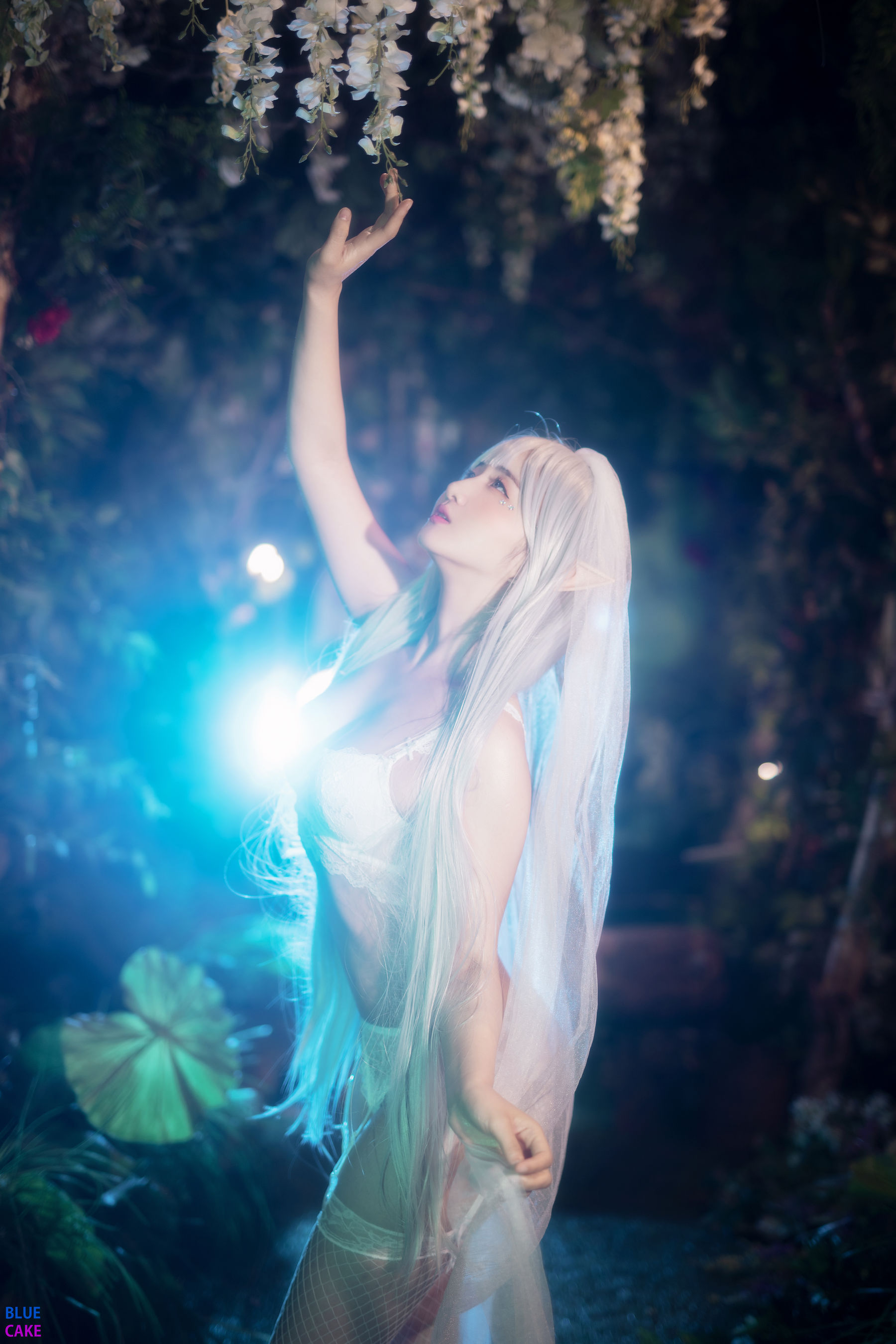 [BLUECAKE]  Jina - Sun Elf & Moon Elf/(114P)