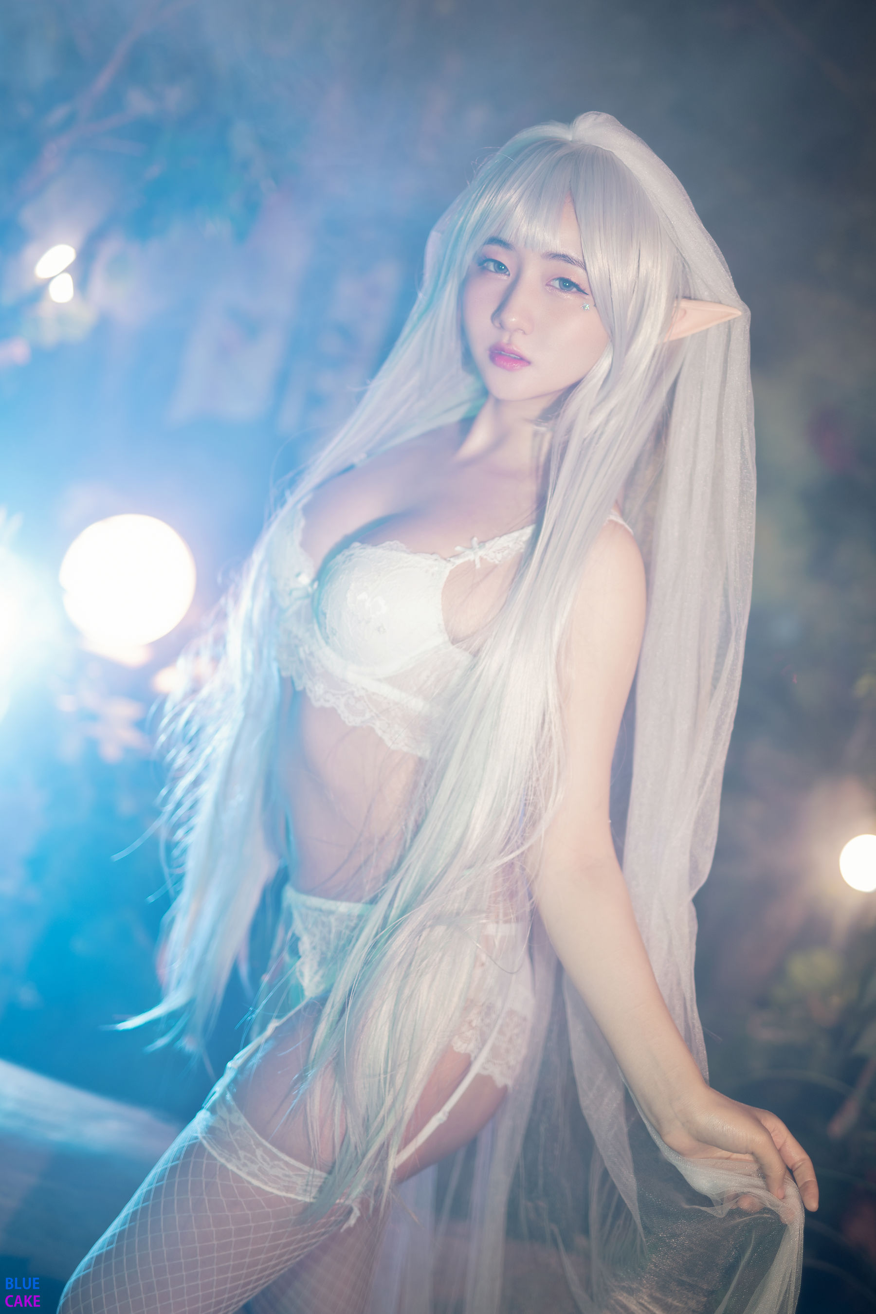 [BLUECAKE]  Jina - Sun Elf & Moon Elf/(114P)