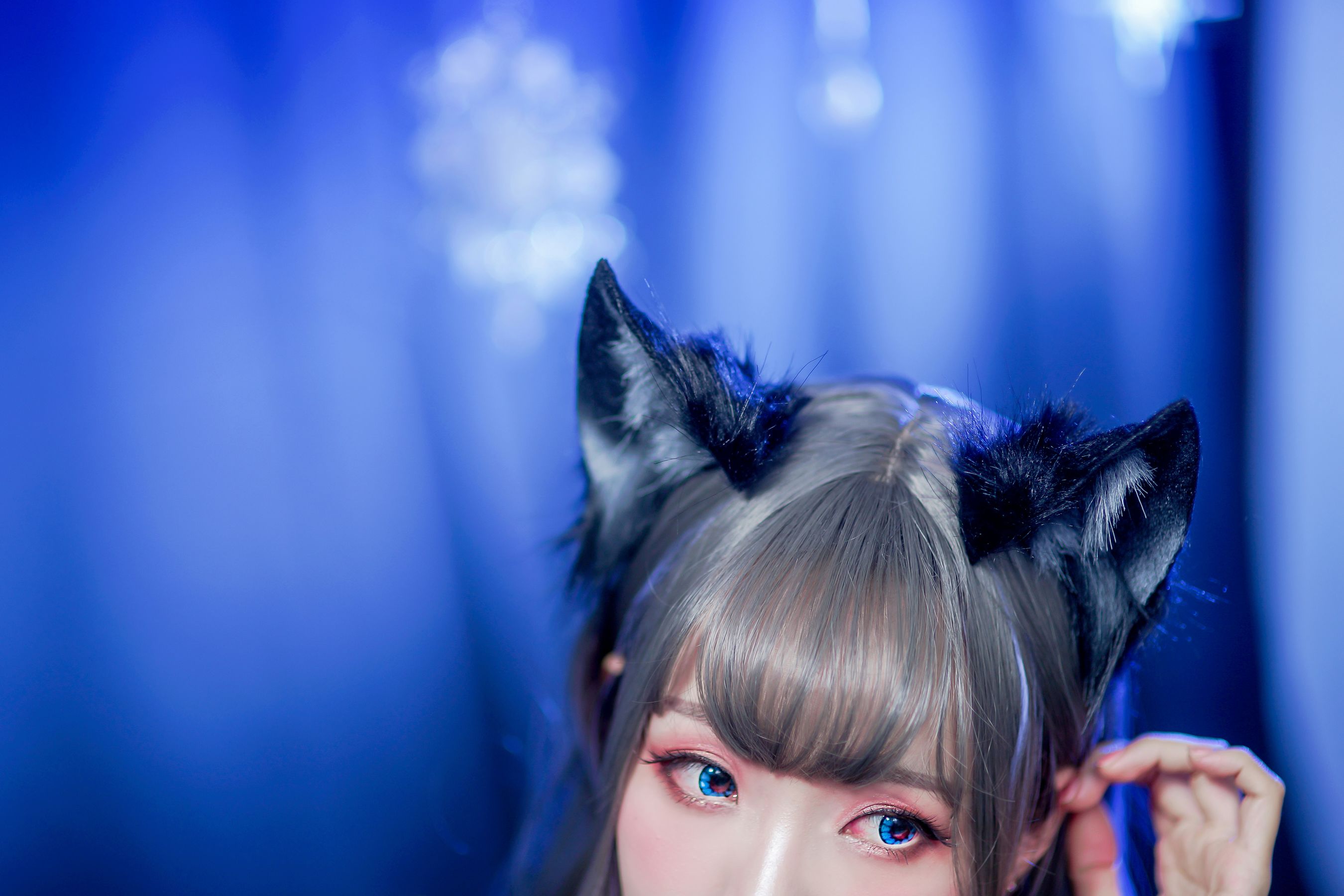 [福利COS] Ely_eee(ElyEE子) - オオカミ闇夜ーヨルちゃん/(48P)