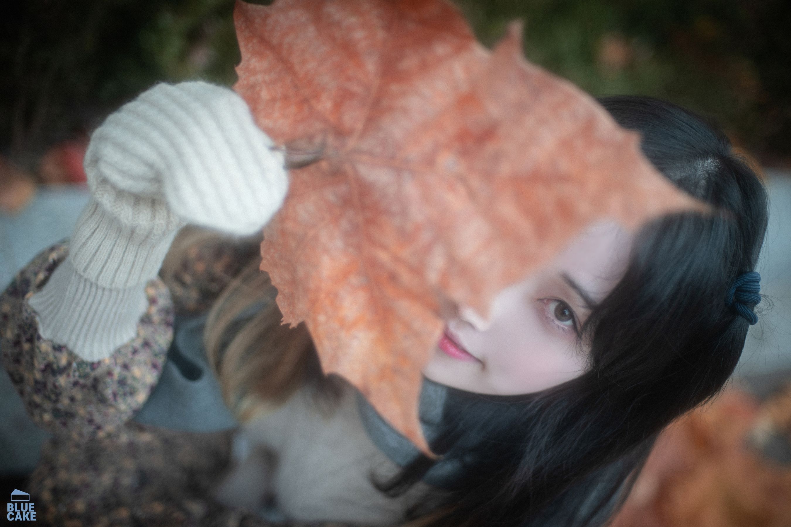 [BLUECAKE]  Bambi - Autumn/(57P)