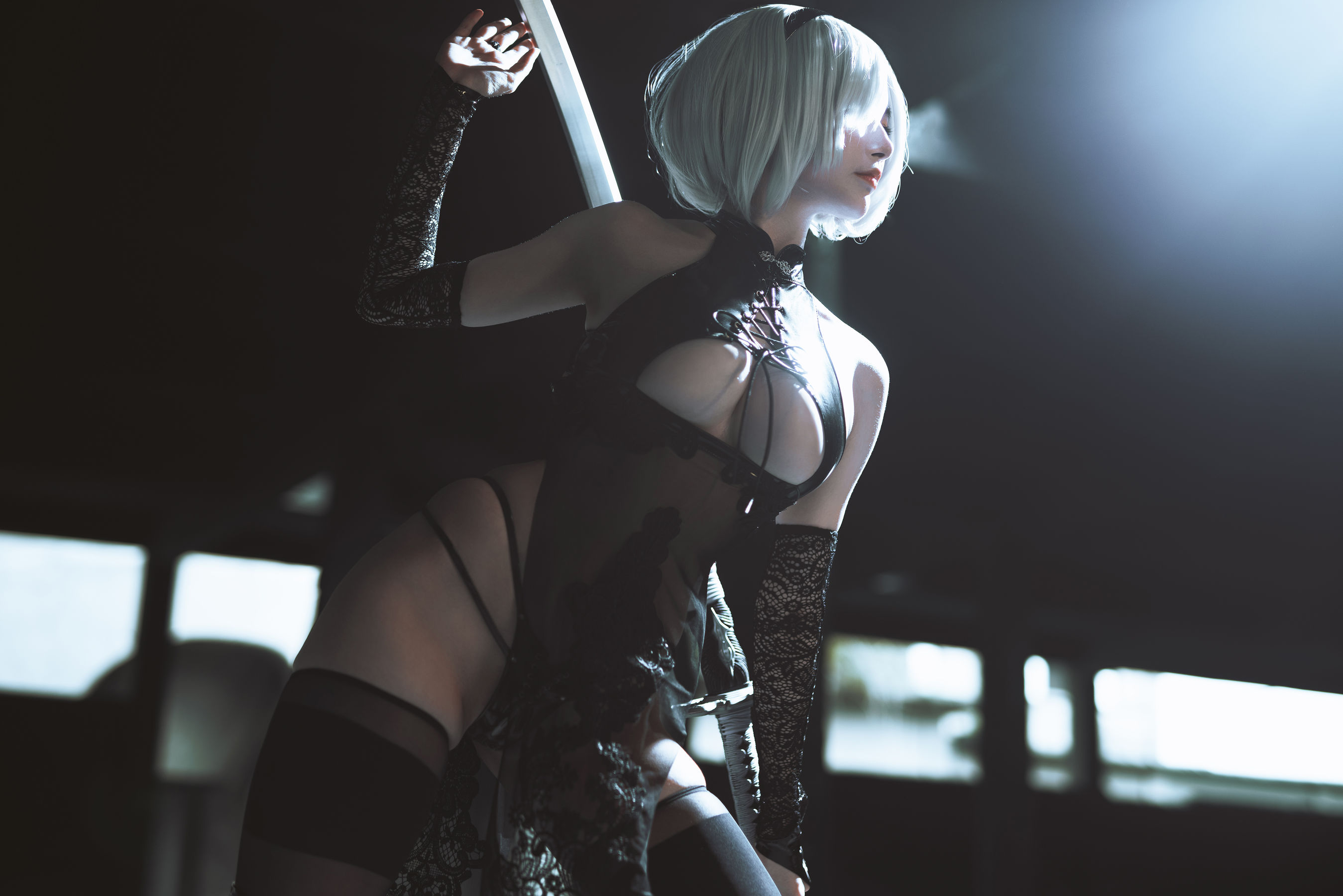 秋和柯基(夏小秋秋秋) 2B (Nier  Automata)/(64P)