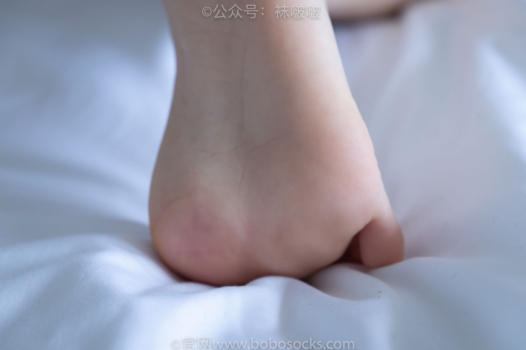 BoBoSocks袜啵啵 No.009 果冻-耐克板鞋、白棉袜、裸足/(130P)