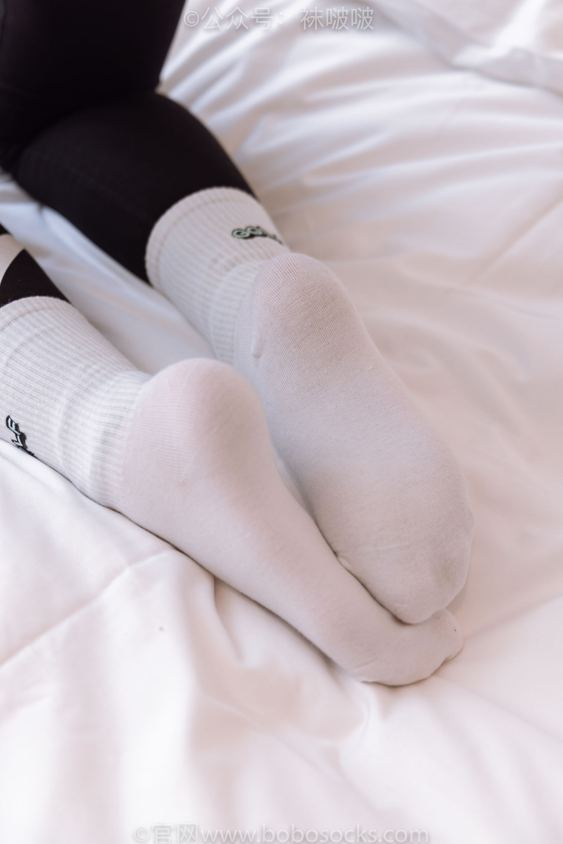 BoBoSocks袜啵啵 No.059 砂糖-AJ板鞋、白棉袜、裸足/(142P)