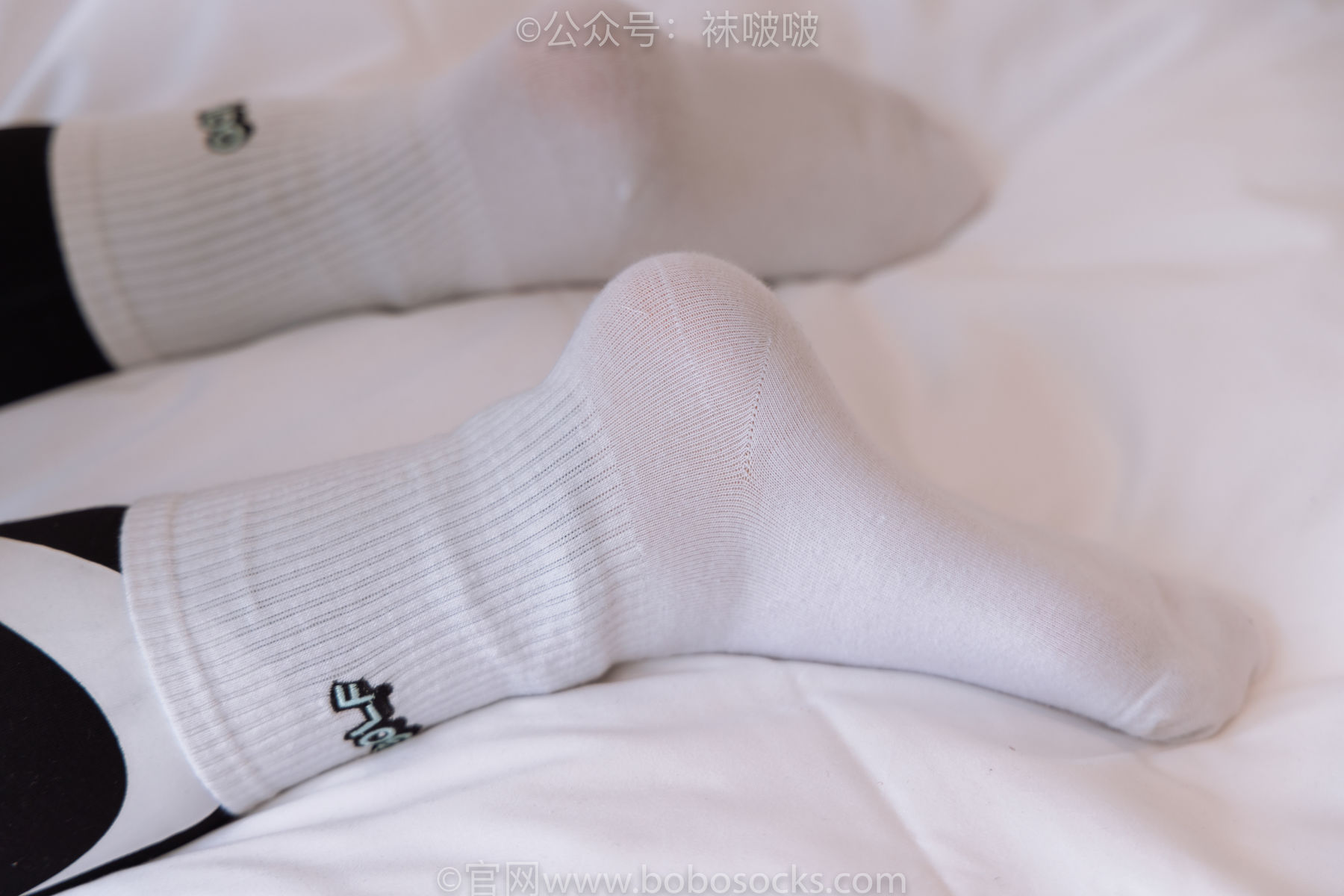 BoBoSocks袜啵啵 No.059 砂糖-AJ板鞋、白棉袜、裸足/(142P)