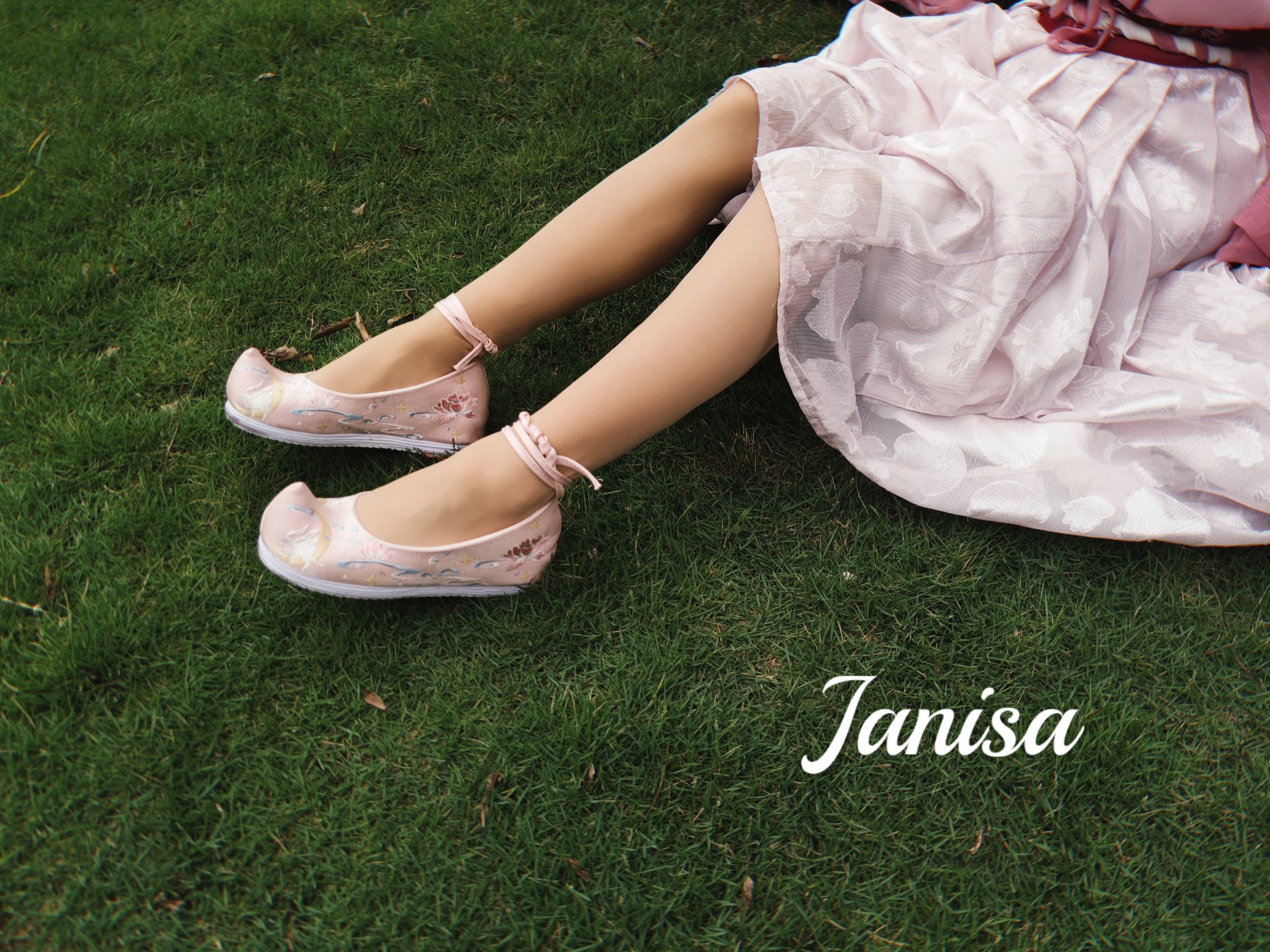 Janisa - 云想衣裳/(20P)