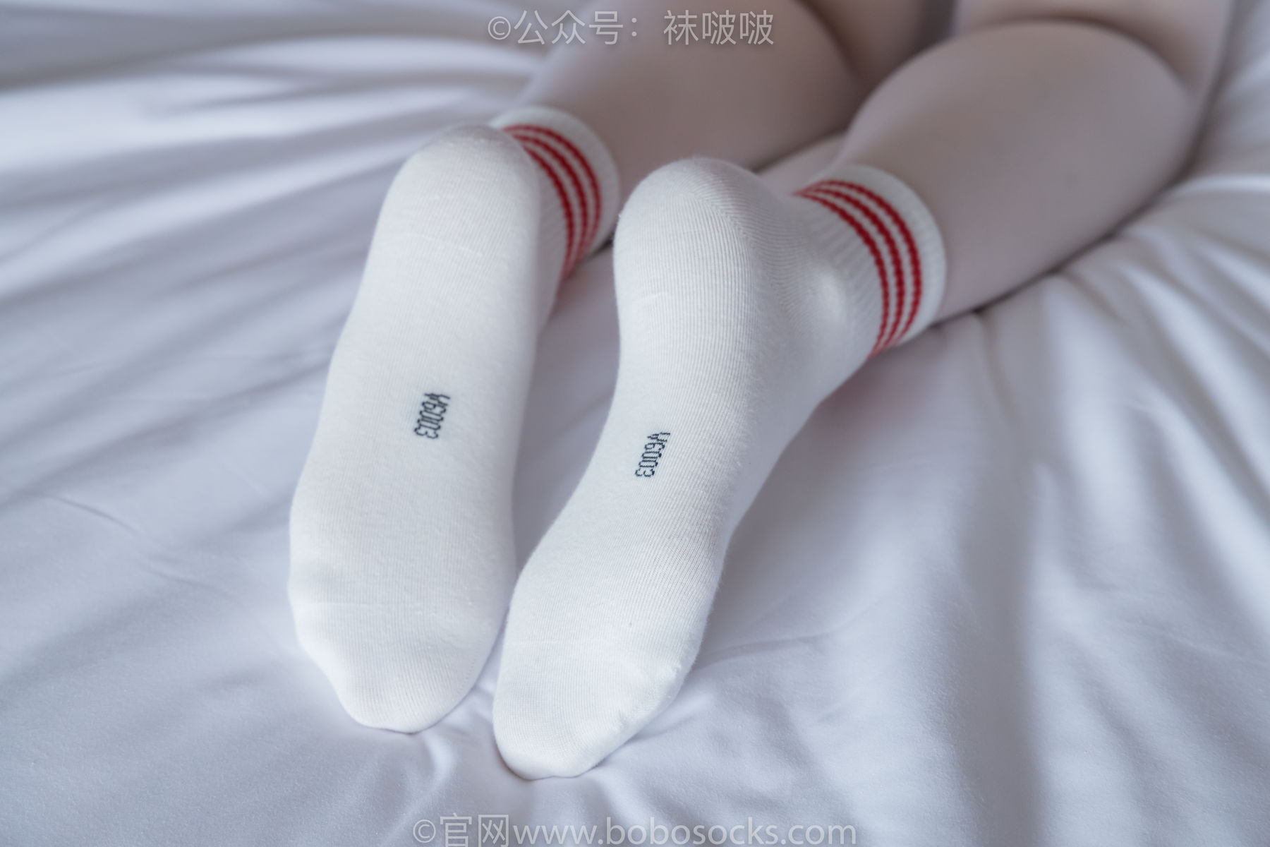 BoBoSocks袜啵啵 积分限定作品004 熊熊-板鞋、白棉袜、白丝/(139P)