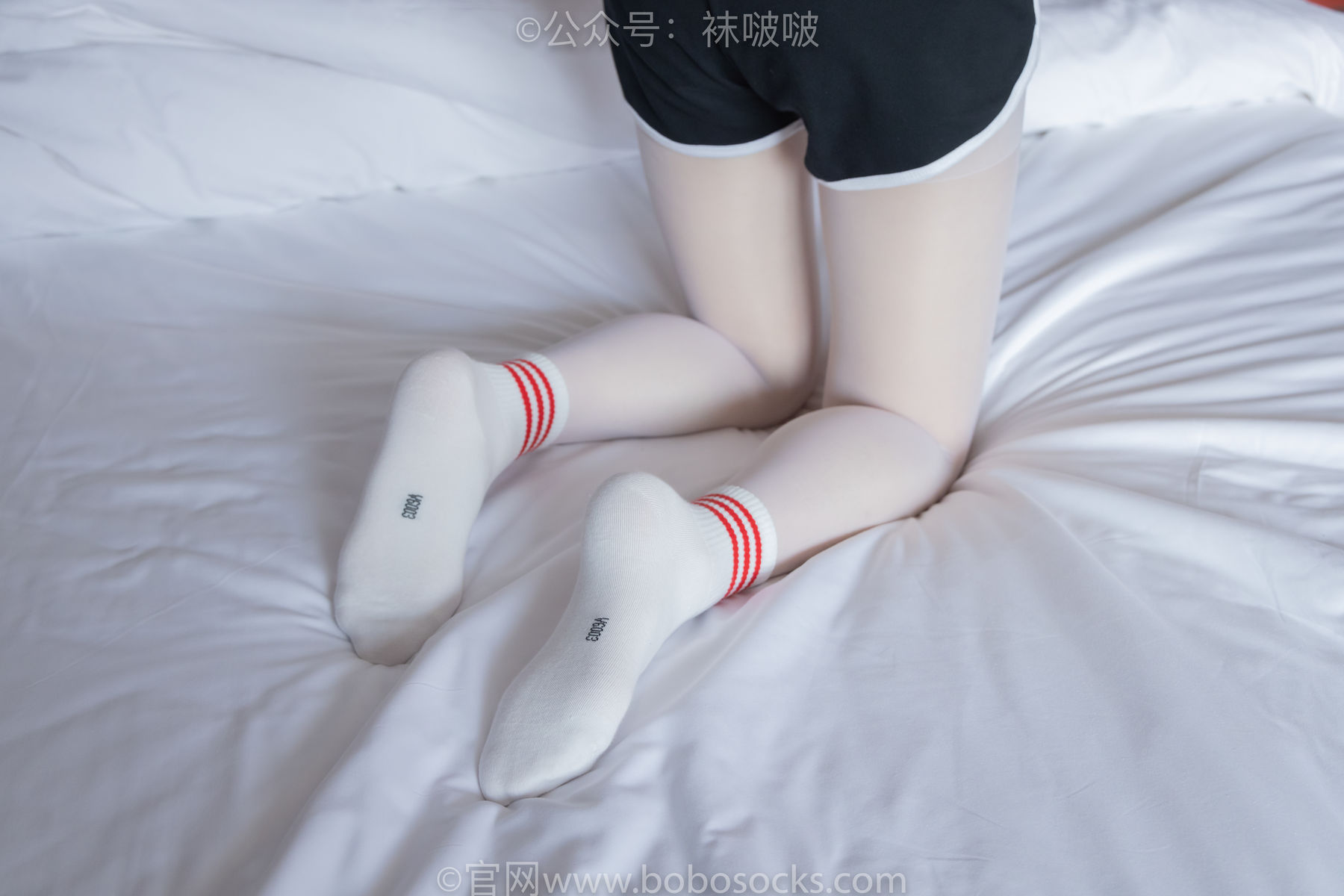 BoBoSocks袜啵啵 积分限定作品004 熊熊-板鞋、白棉袜、白丝/(139P)