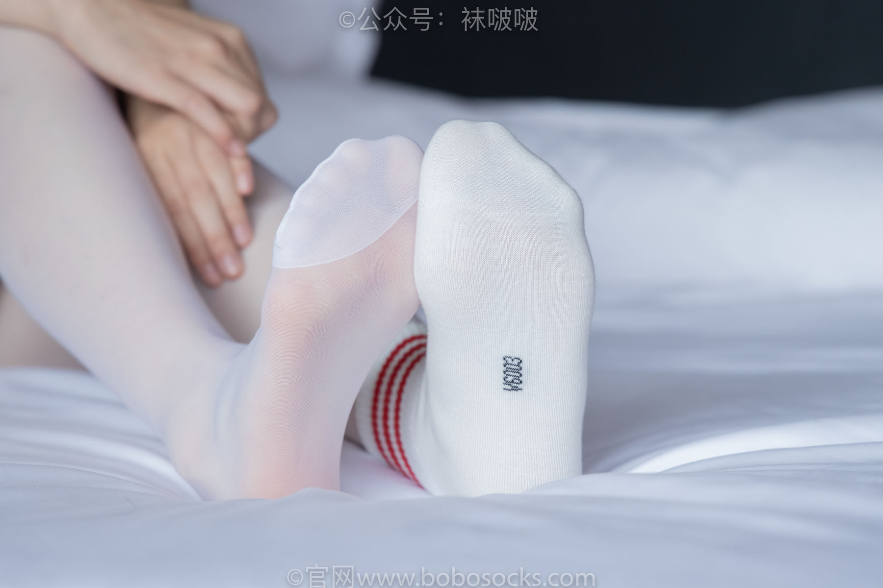 BoBoSocks袜啵啵 积分限定作品004 熊熊-板鞋、白棉袜、白丝/(139P)