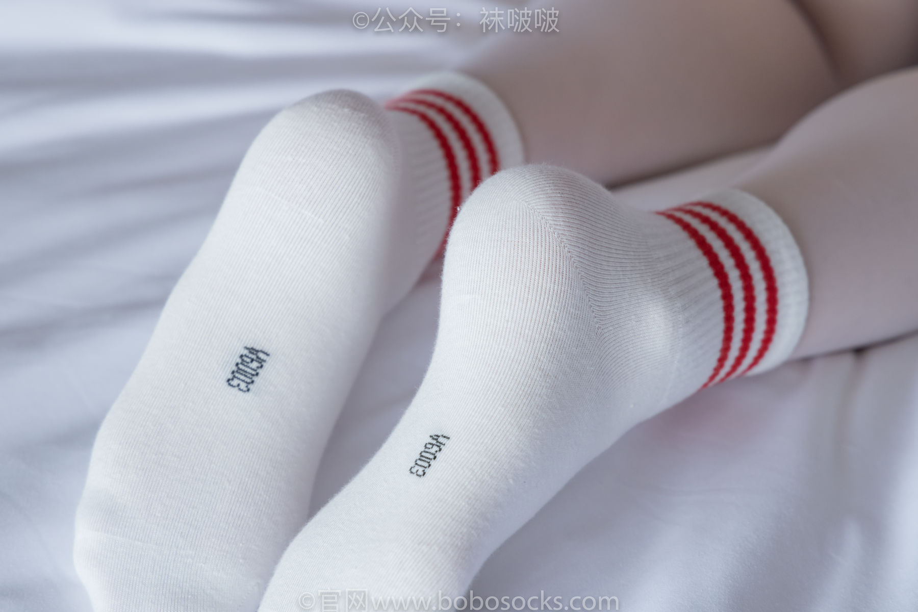 BoBoSocks袜啵啵 积分限定作品004 熊熊-板鞋、白棉袜、白丝/(139P)