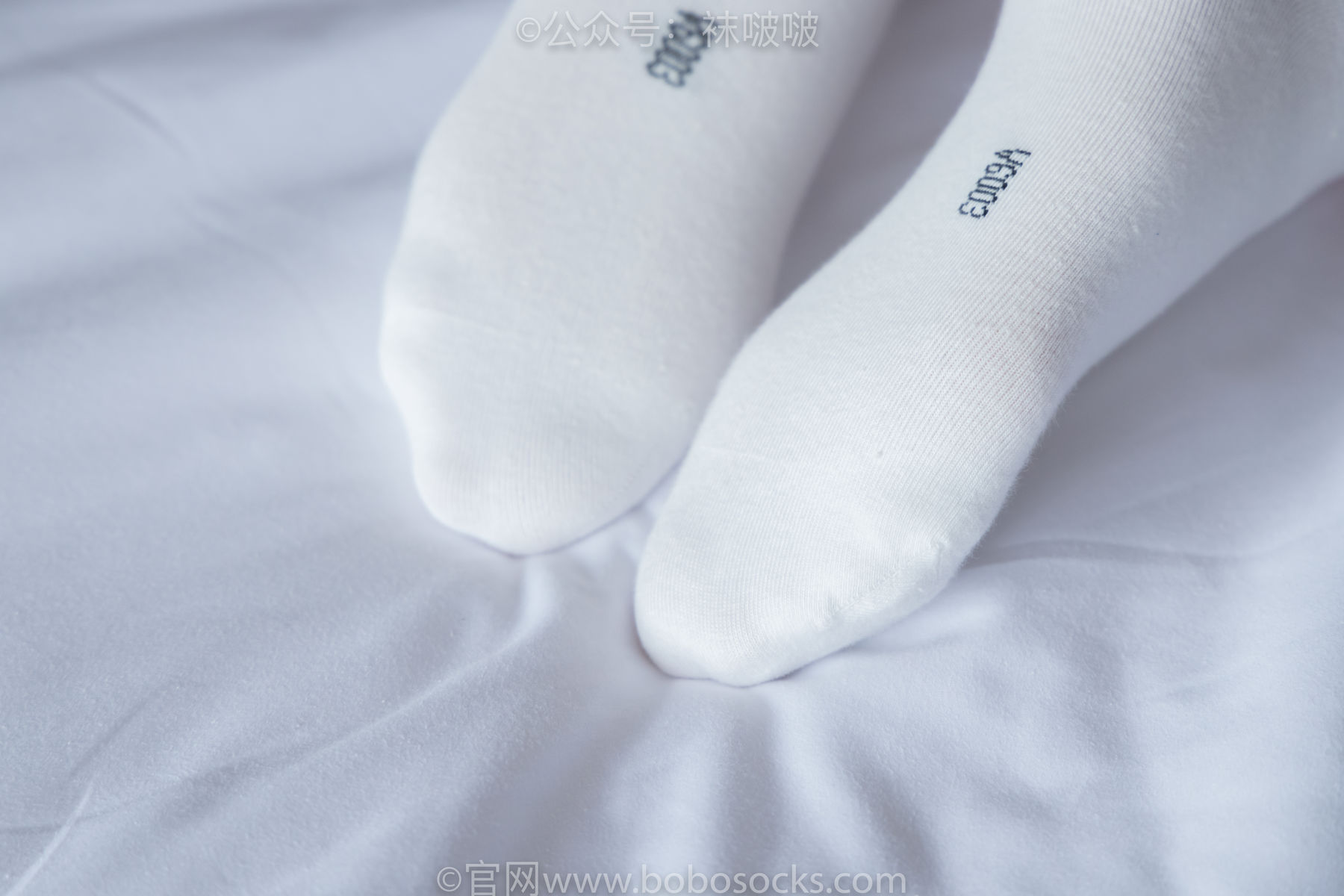 BoBoSocks袜啵啵 积分限定作品004 熊熊-板鞋、白棉袜、白丝/(139P)