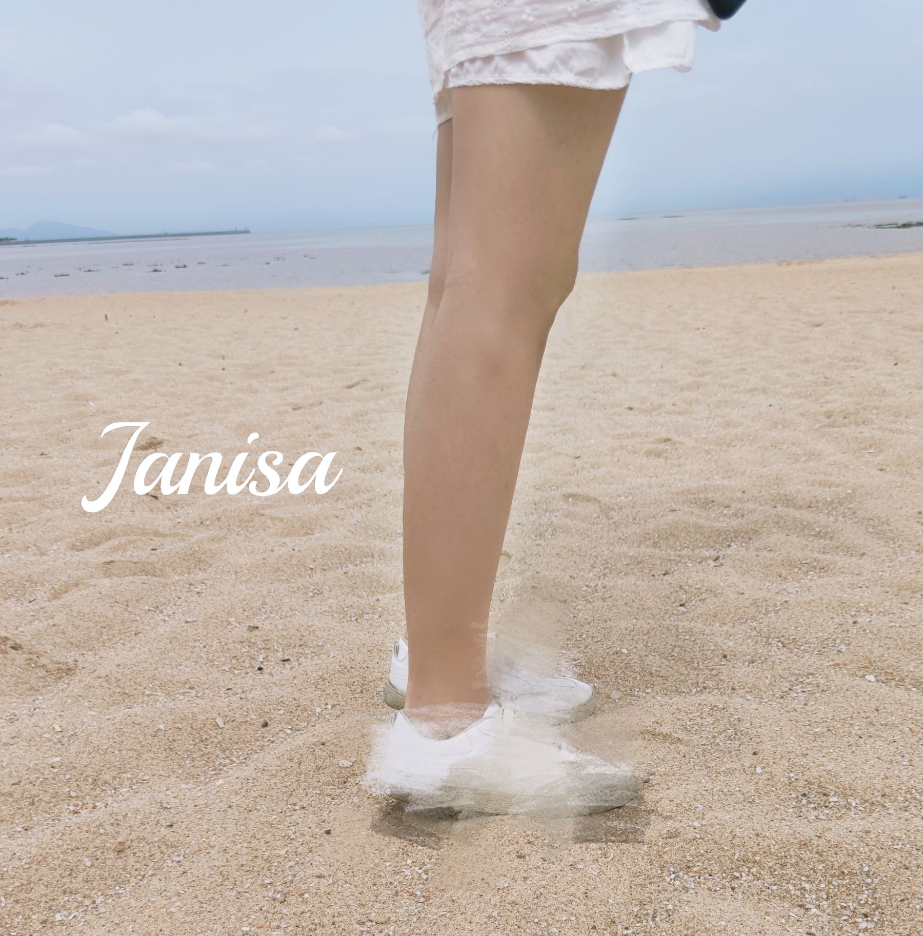 Janisa - 一树梨花压海棠/(17P)