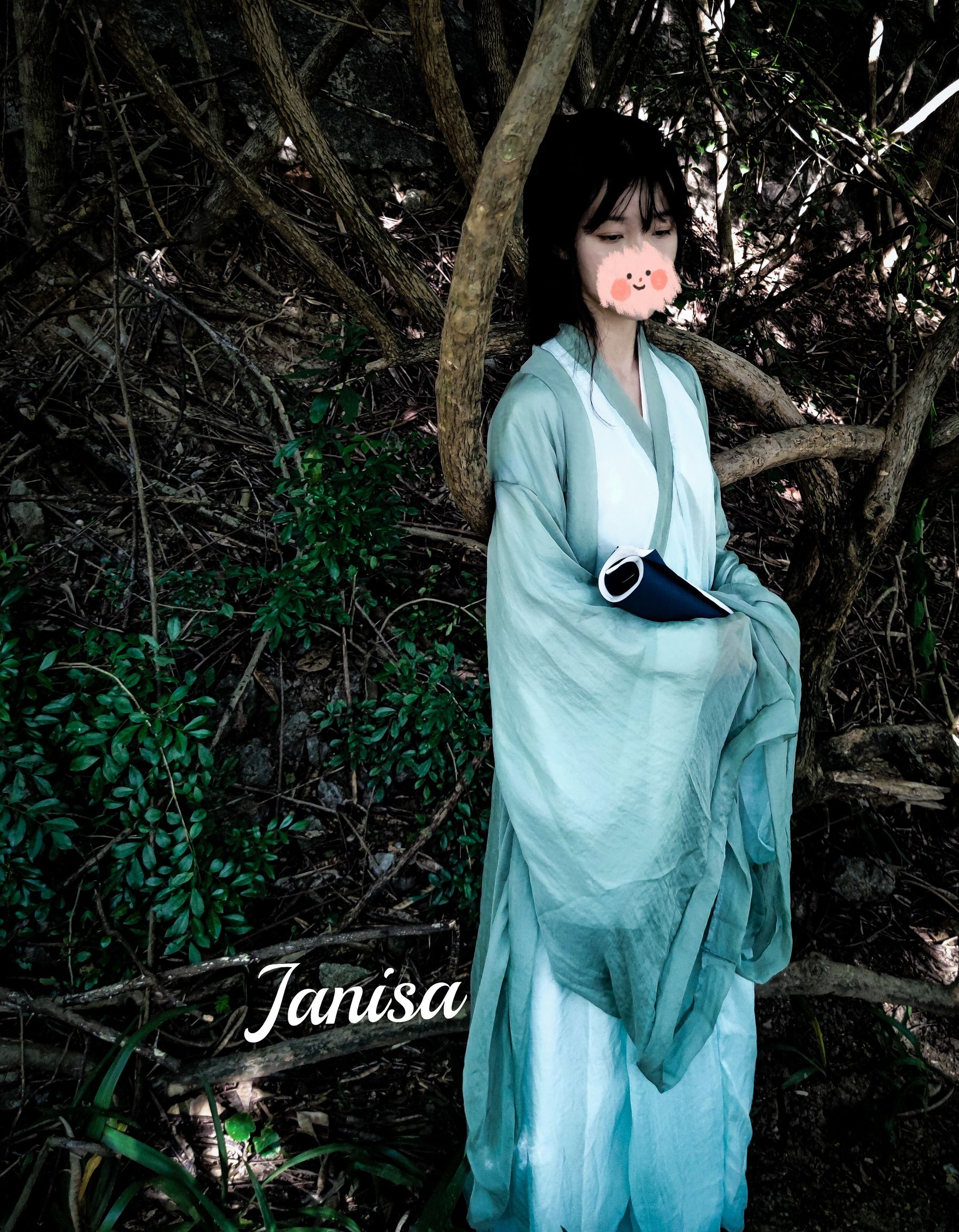 Janisa - 一曲广陵散/(30P)