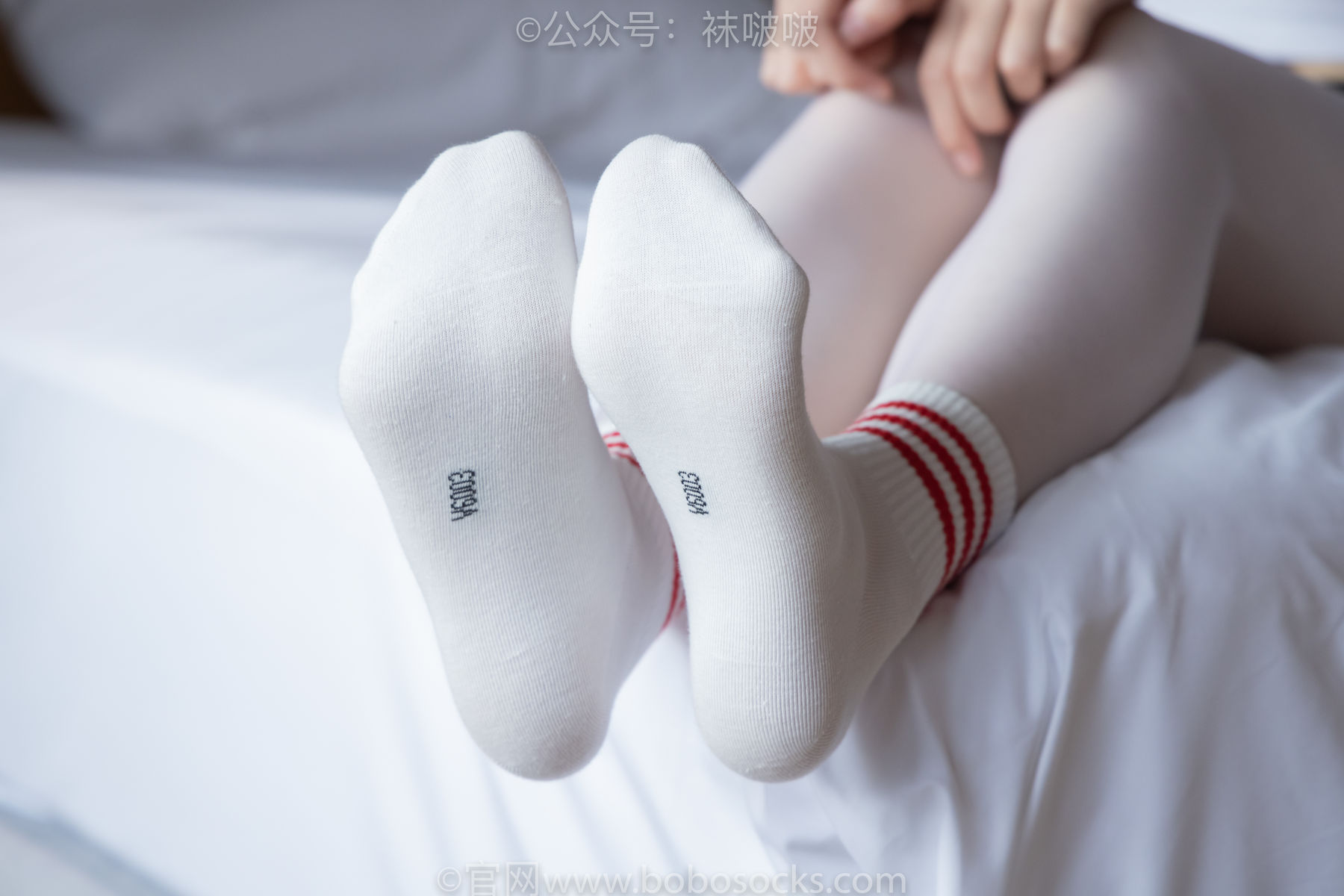 BoBoSocks袜啵啵 积分限定作品004 熊熊-板鞋、白棉袜、白丝/(139P)