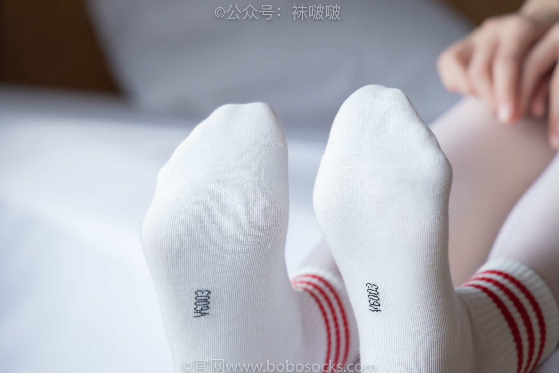 BoBoSocks袜啵啵 积分限定作品004 熊熊-板鞋、白棉袜、白丝/(139P)