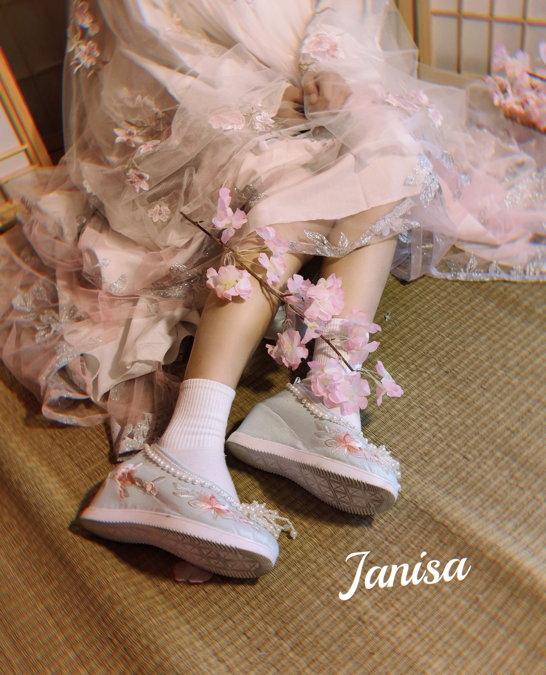 Janisa - 朝花向晚/(23P)