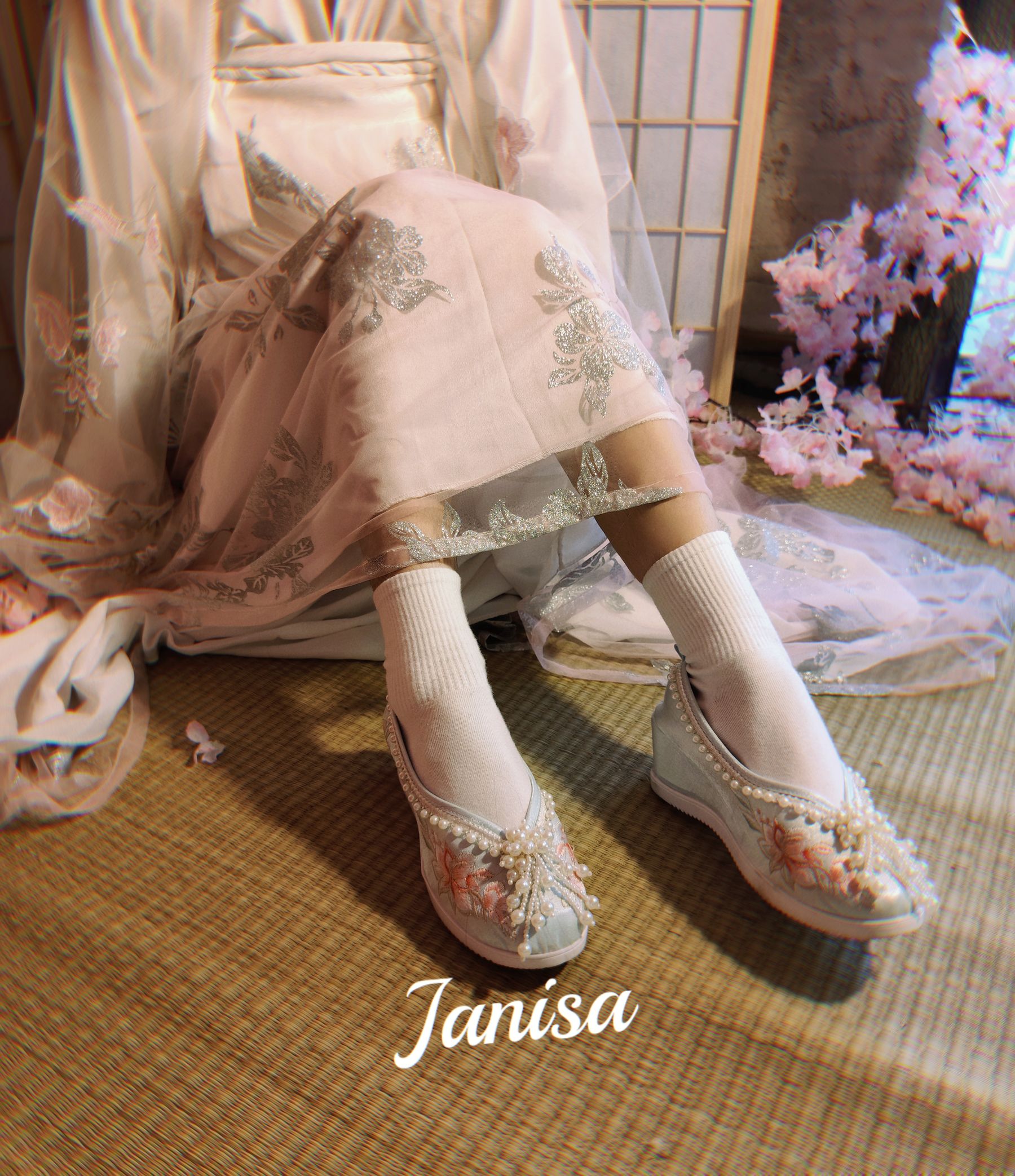 Janisa - 朝花向晚/(23P)