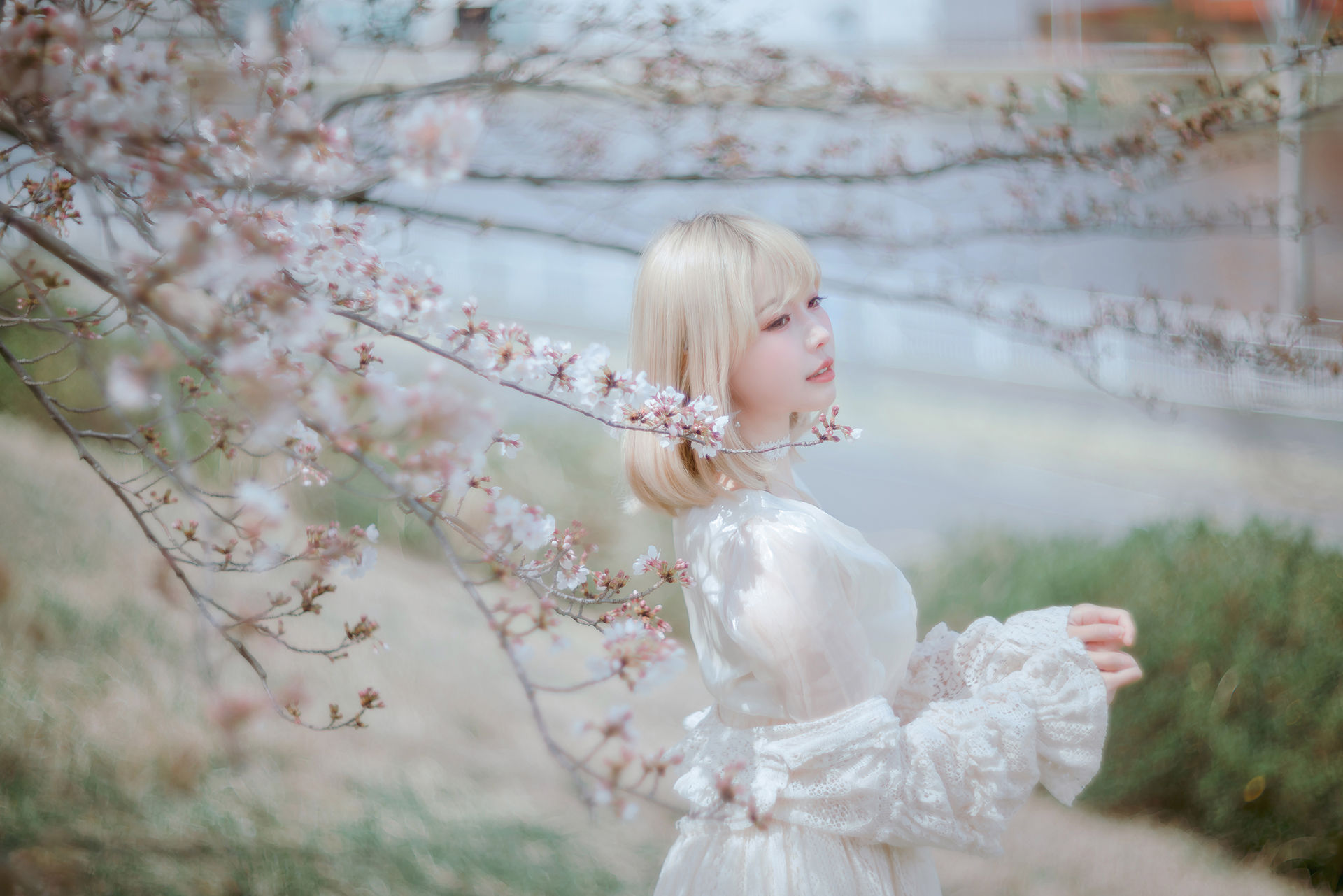 Ely_eee(ElyEE子) - Sakura/(64P)