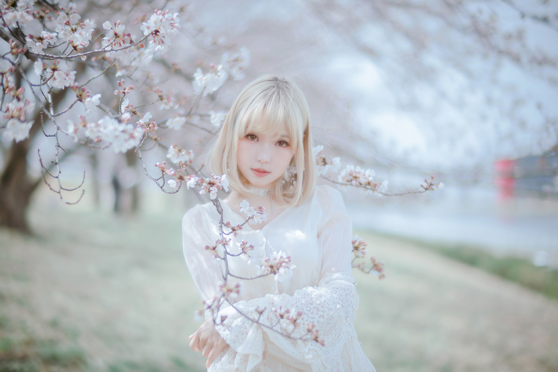 Ely_eee(ElyEE子) - Sakura/(64P)