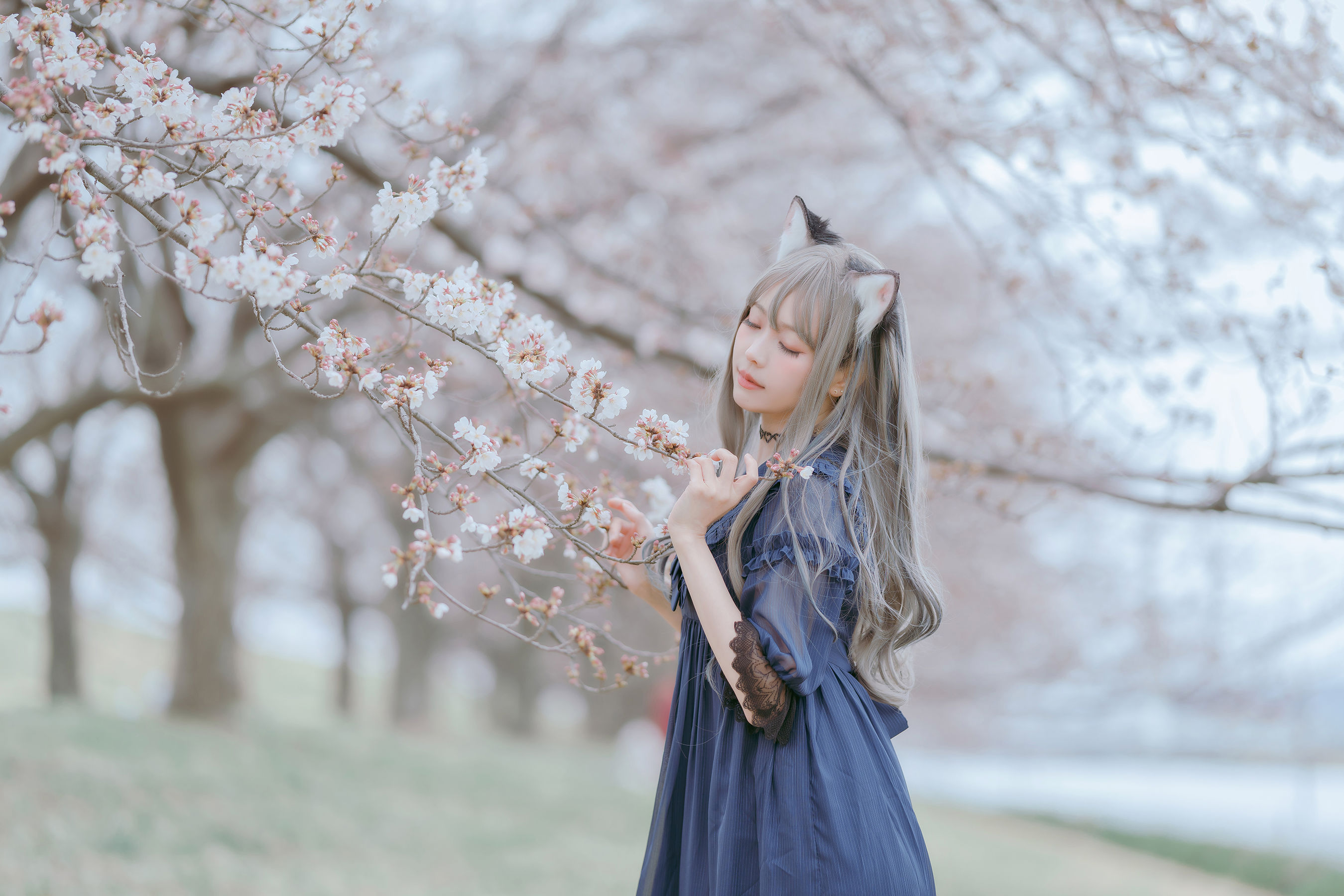 Ely_eee(ElyEE子) - Sakura/(64P)