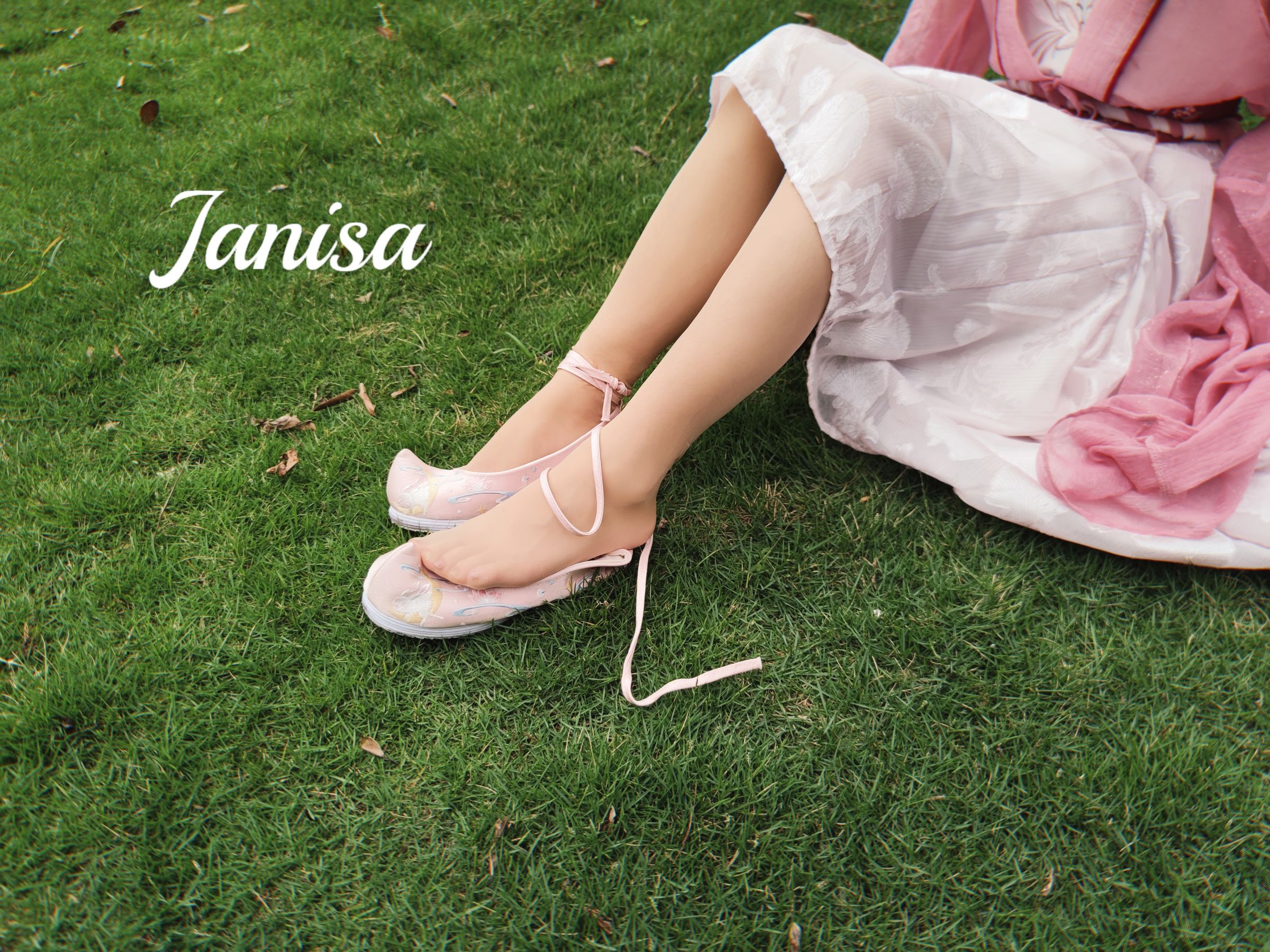 Janisa - 云想衣裳/(20P)