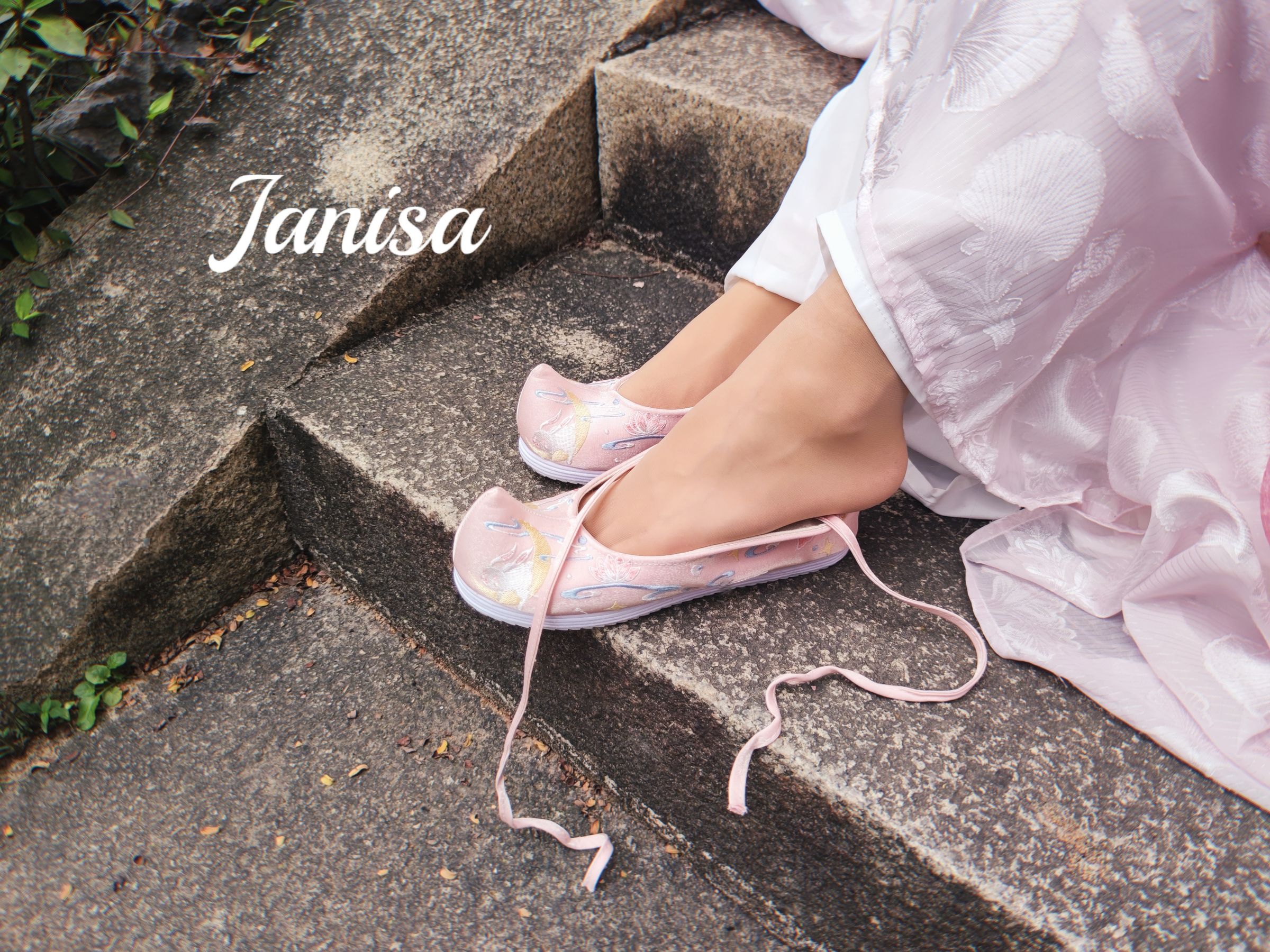 Janisa - 云想衣裳/(20P)