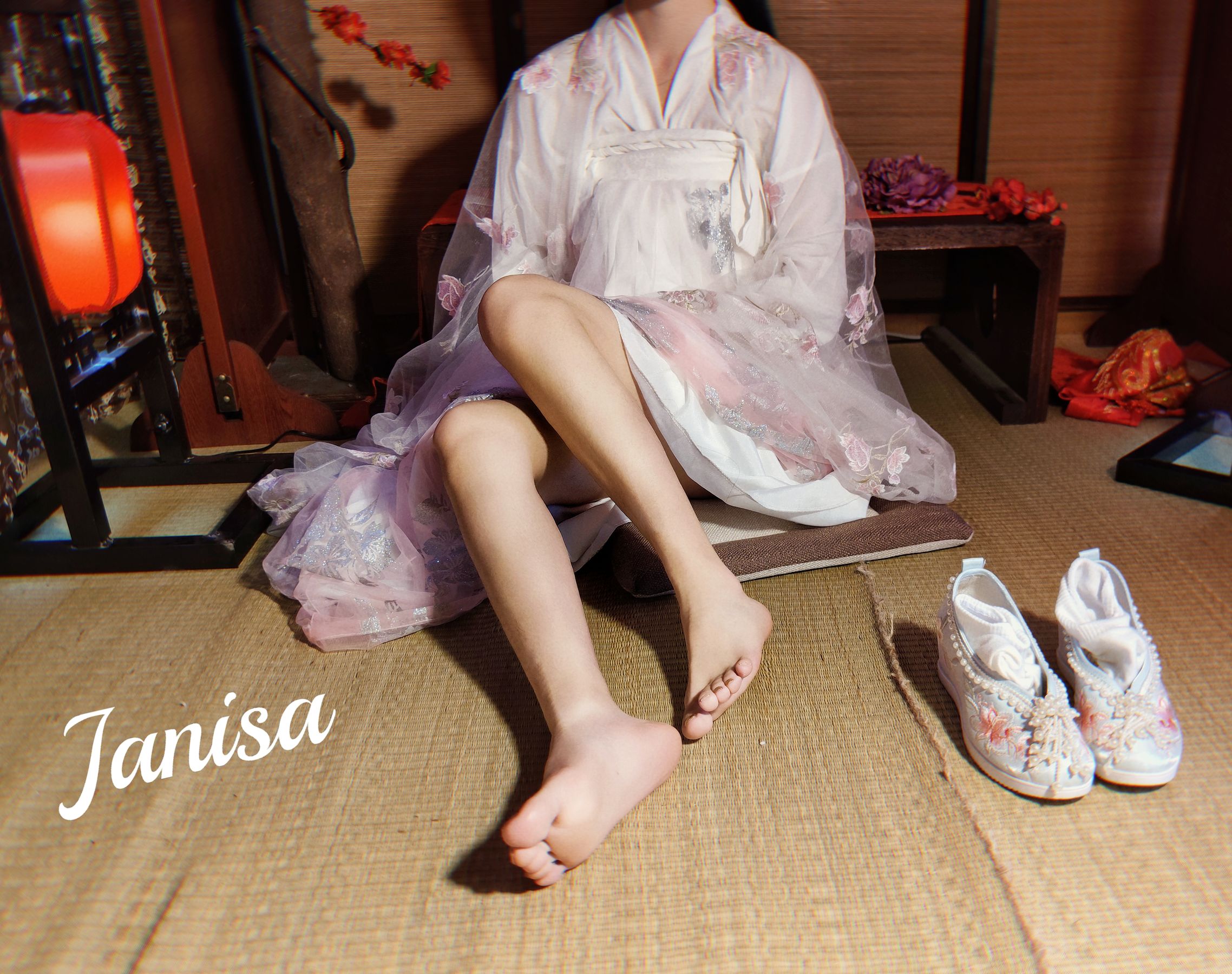 Janisa - 朝花向晚/(23P)