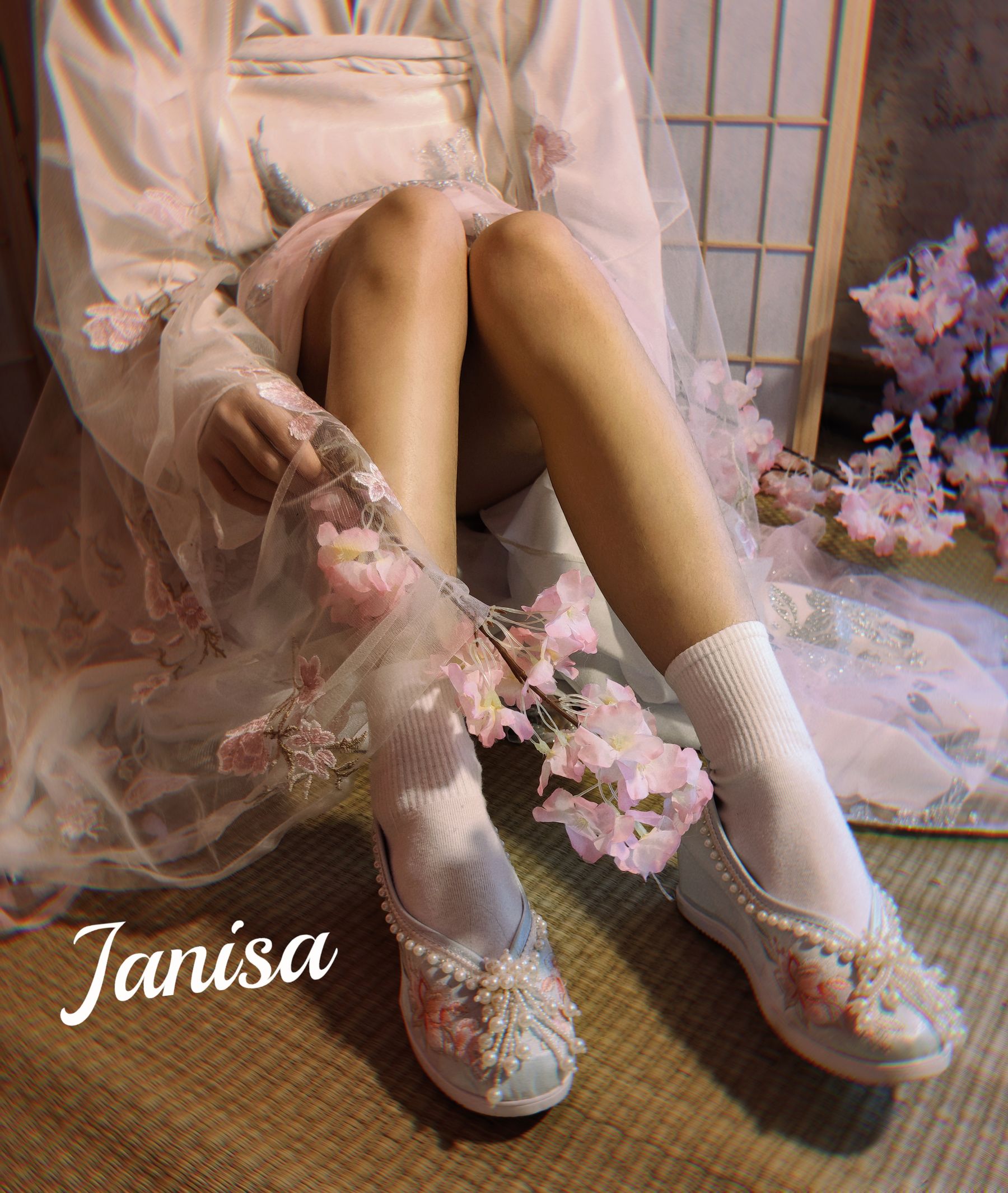 Janisa - 朝花向晚/(23P)