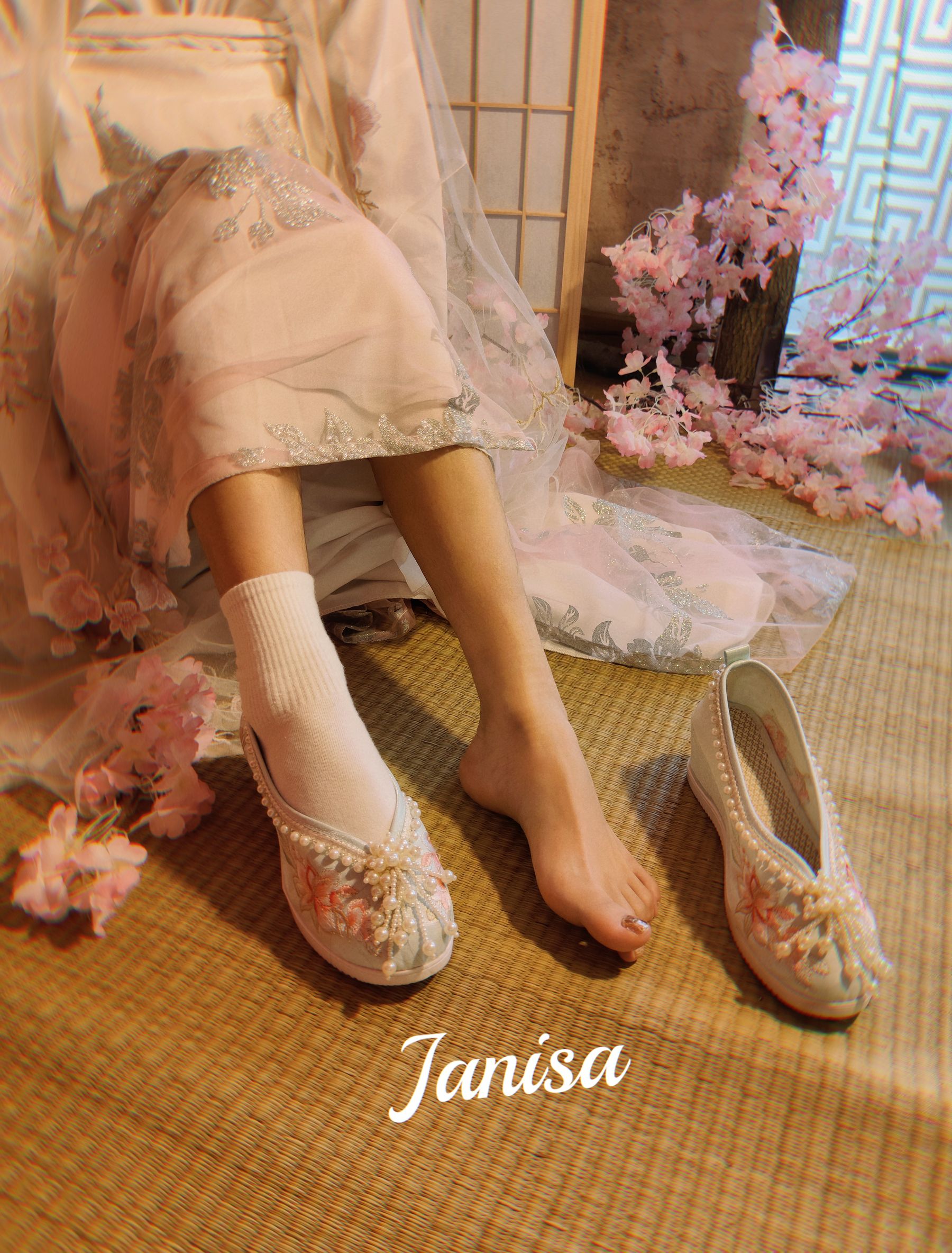 Janisa - 朝花向晚/(23P)