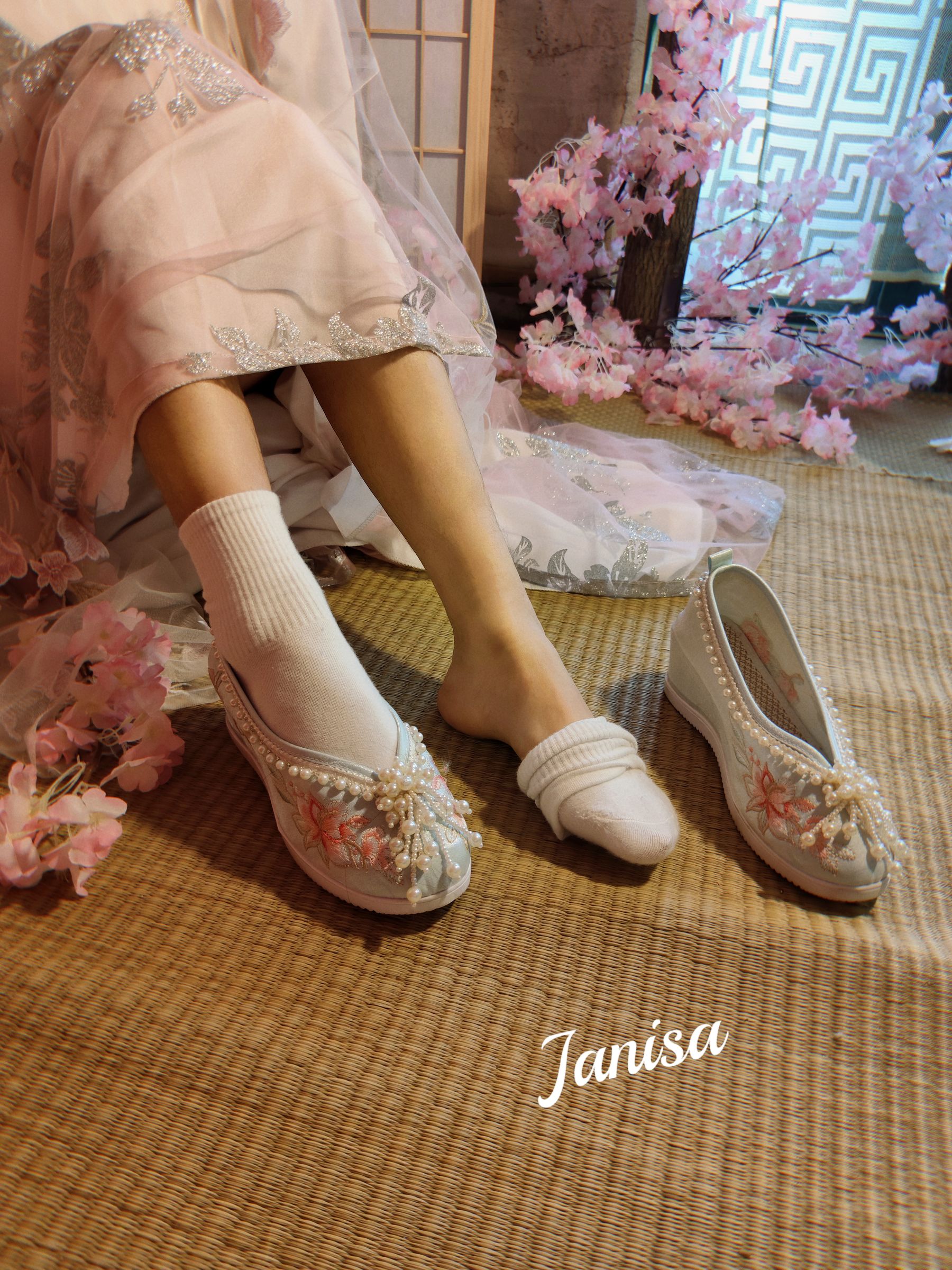 Janisa - 朝花向晚/(23P)