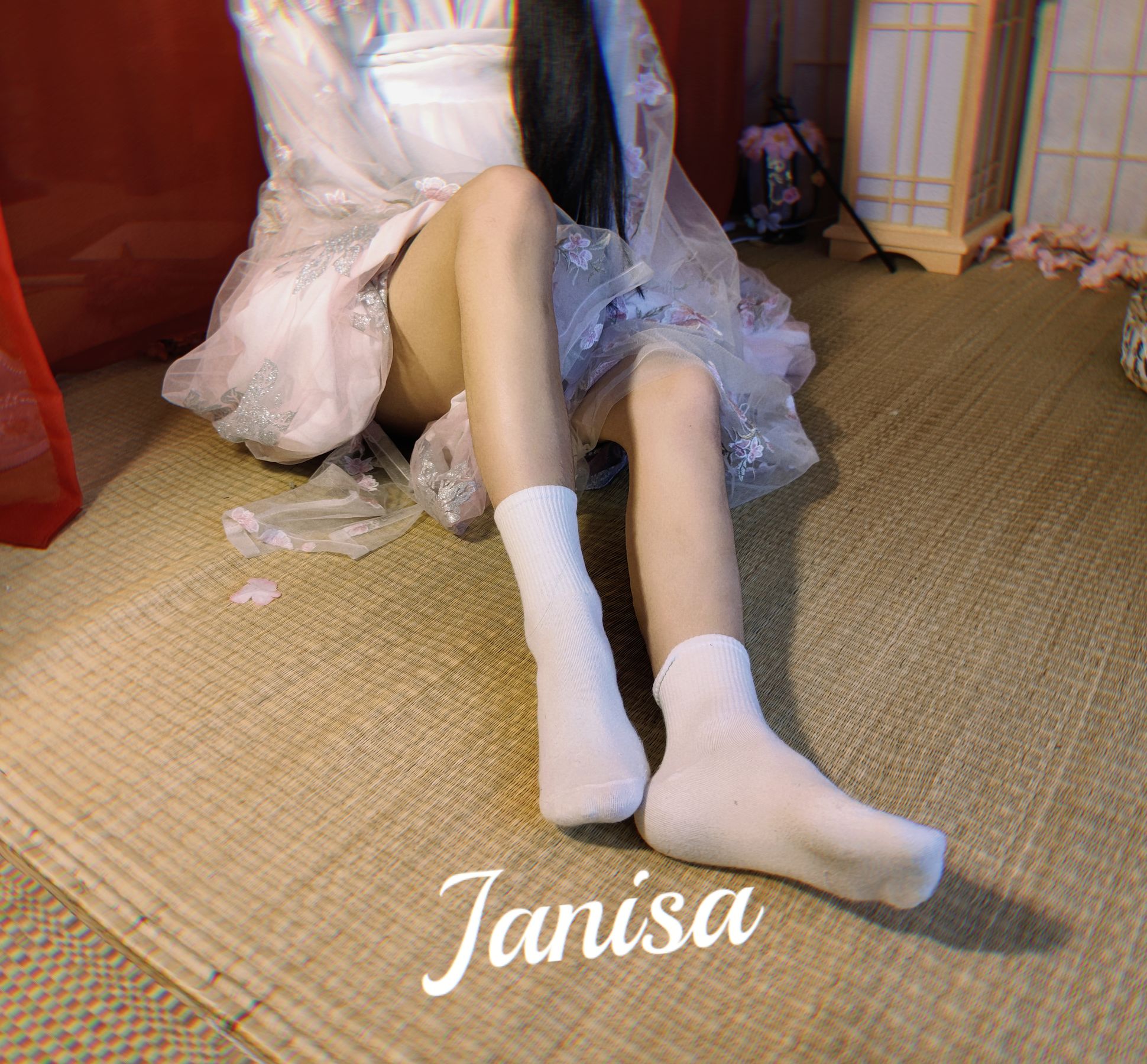 Janisa - 朝花向晚/(23P)