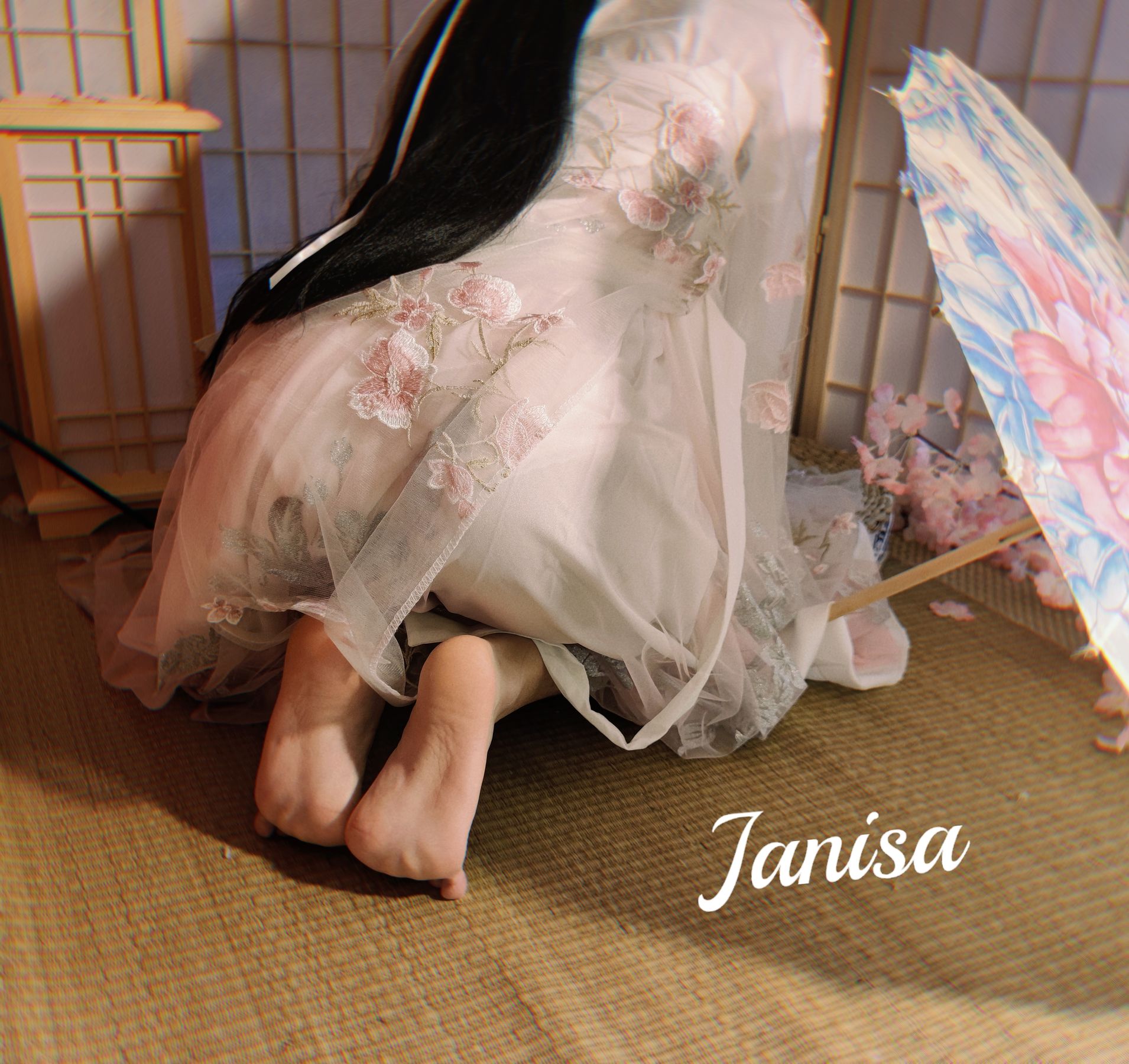 Janisa - 朝花向晚/(23P)